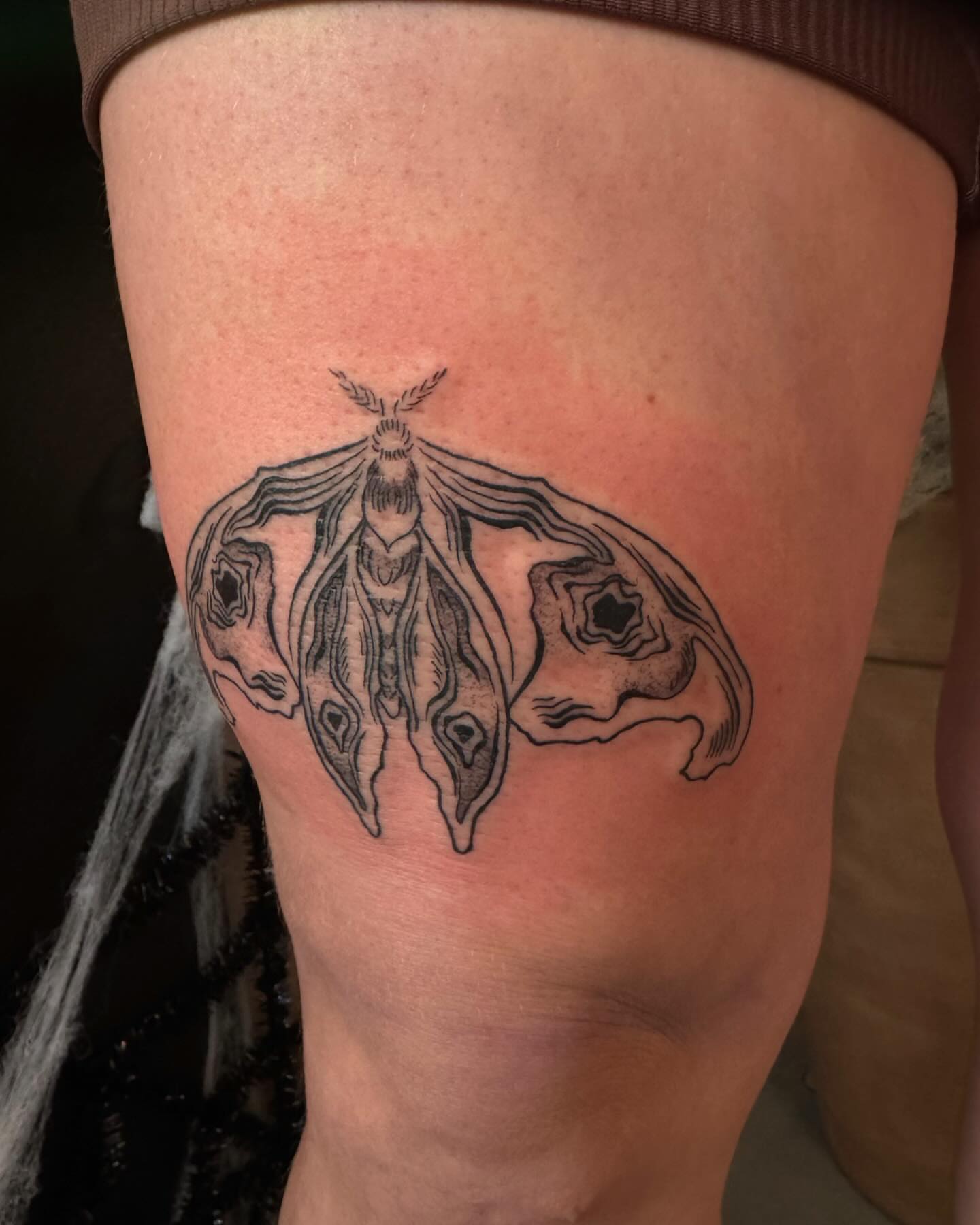 Moth black and grey tattoo on the thigh by 𝔈𝔩𝔦𝔷𝔞𝔟𝔢𝔱𝔥