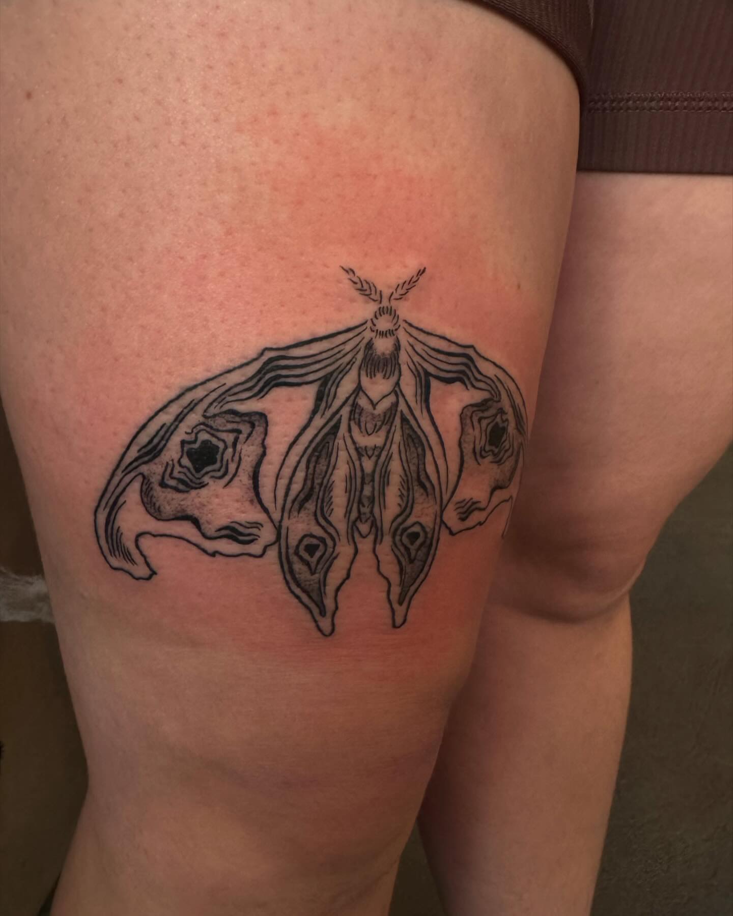 Moth black and grey tattoo on the thigh by 𝔈𝔩𝔦𝔷𝔞𝔟𝔢𝔱𝔥