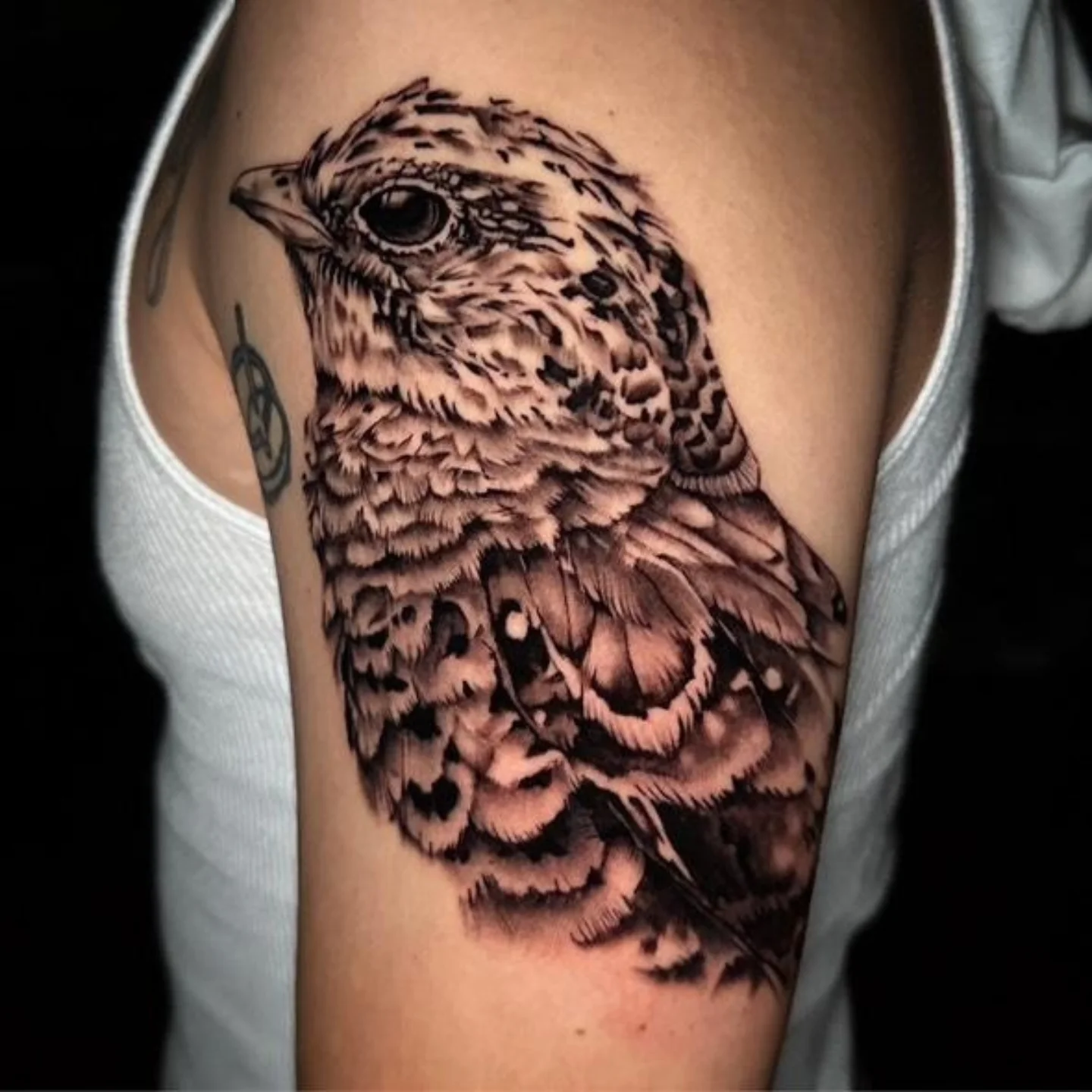 Bird realism tattoo on the forearm by Christopher Heffley
