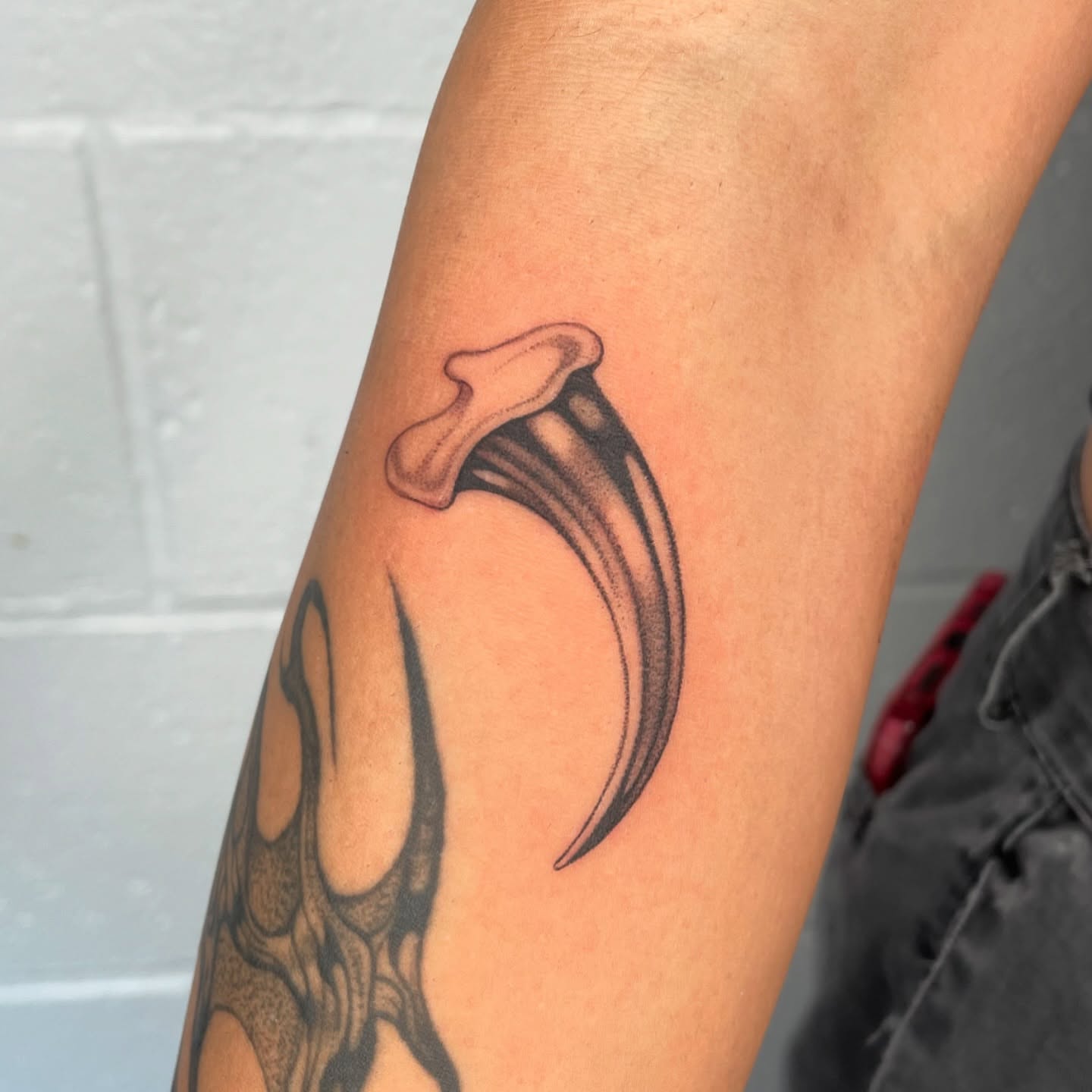 Calla lily black and grey tattoo on the forearm by 𝕮𝖆𝖗𝖔𝖑𝖎𝖓𝖊 𝕽𝖆𝖊 𝕽𝖔𝖇𝖎𝖓𝖘𝖔𝖓, Los Angeles, California