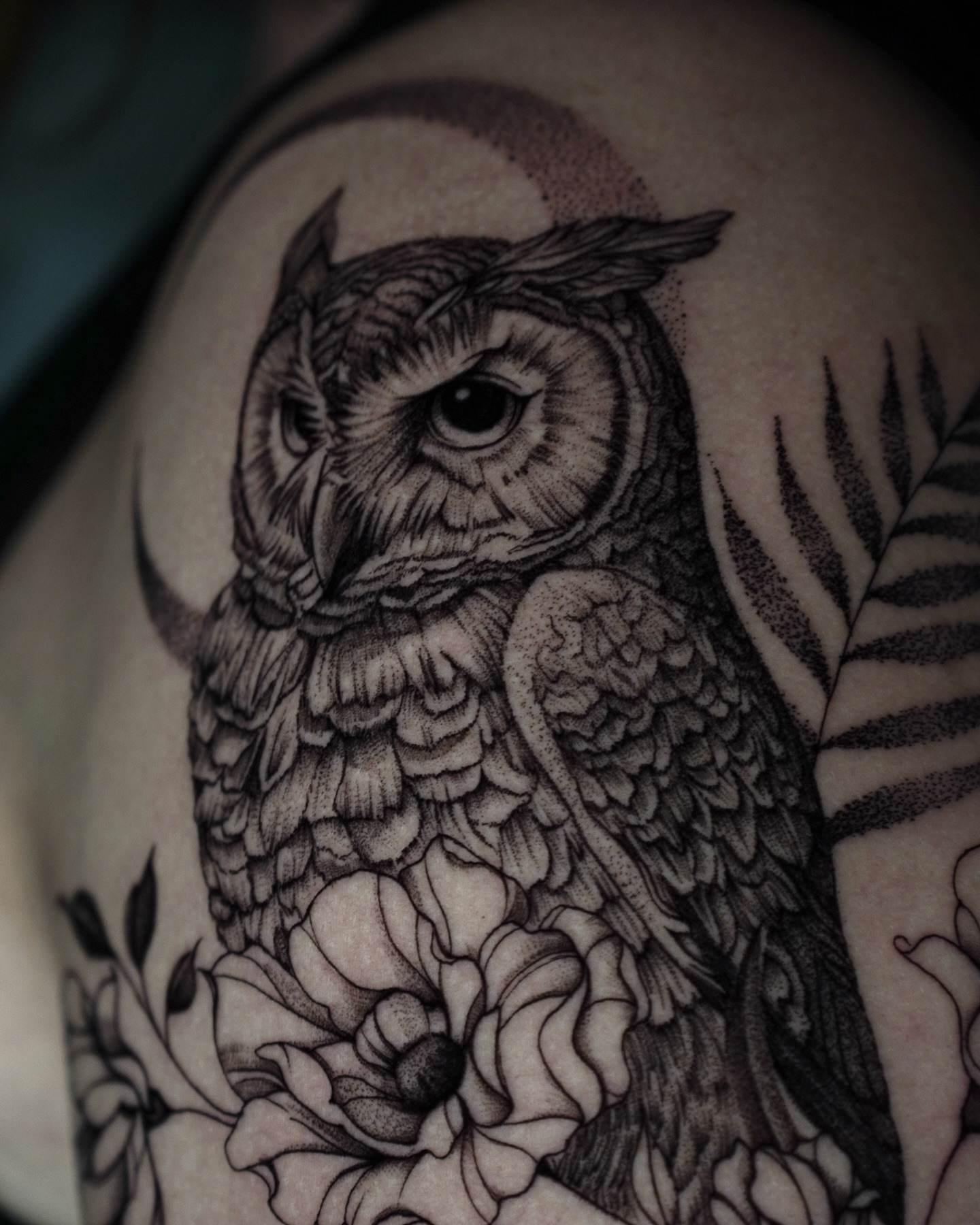 Owl realism tattoo on the shoulder by Sophia Delfino