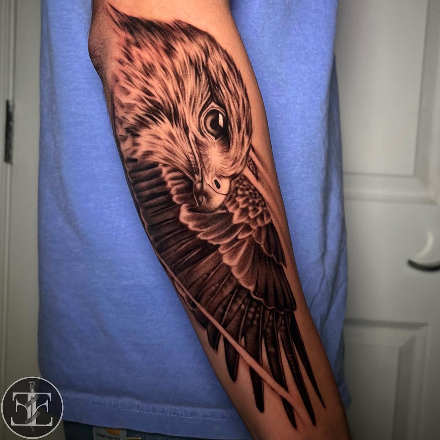Hawk realism tattoo on the forearm by Mariella Elizabeth Paul ππ€