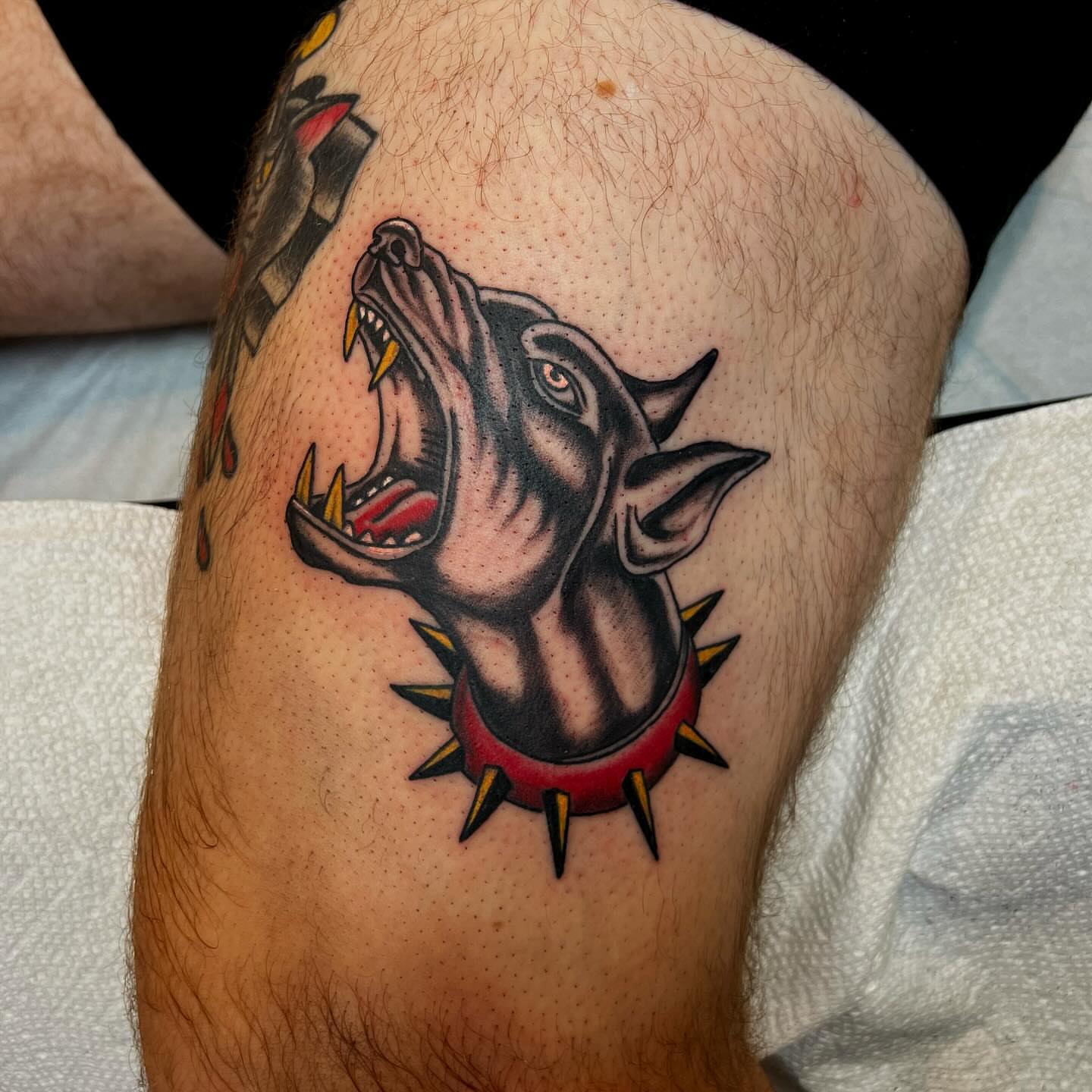 Roaring dog American traditional tattoo on the forearm by Jon Crook, Portland, Oregon