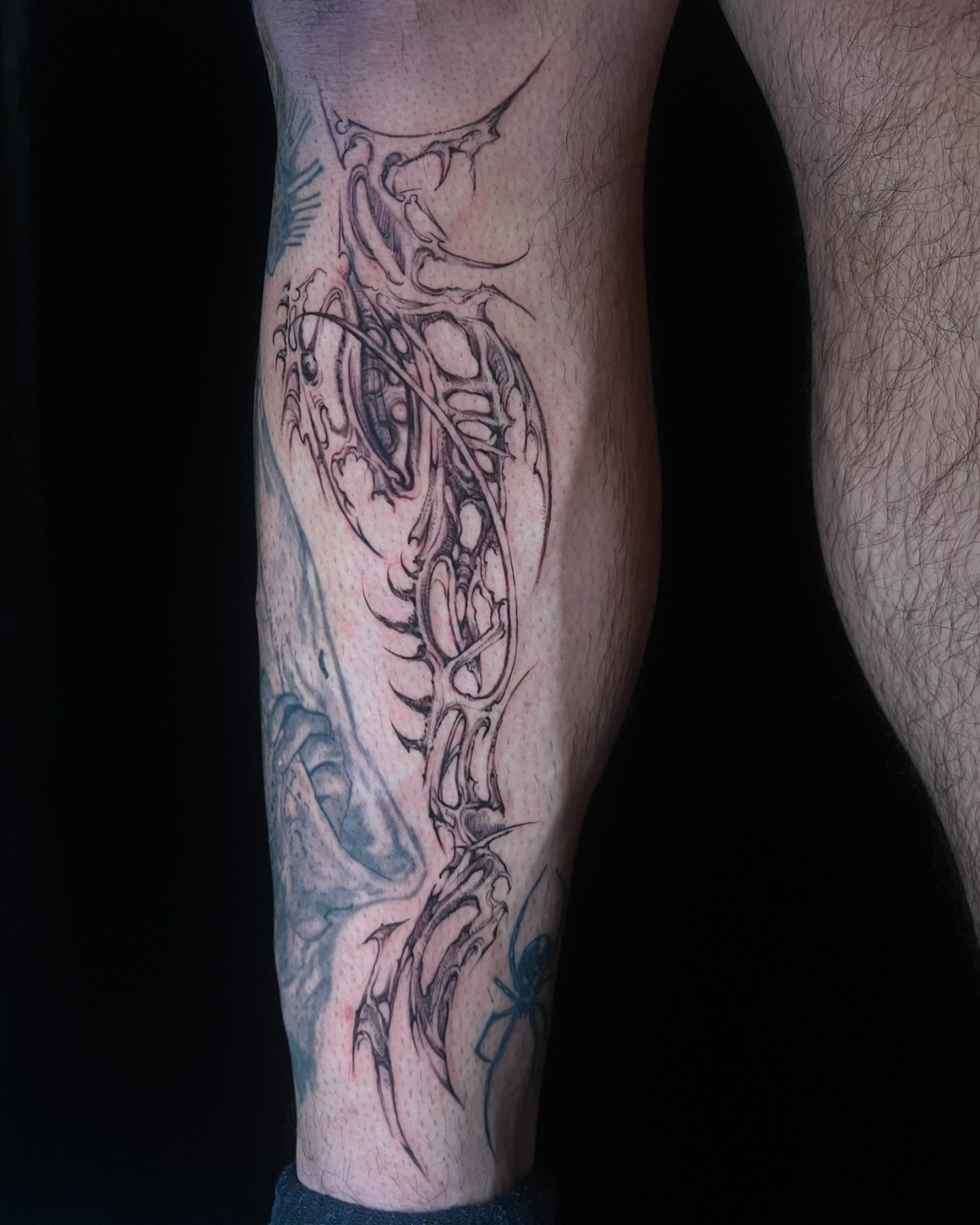 Dragon realism tattoo on the calf by G̵̨̗̗̈̅̓́͡ĕ̸̡̜̫̾̌̎̈͠ë̷̢̳̤̰̗͈̃͌͒̚͞