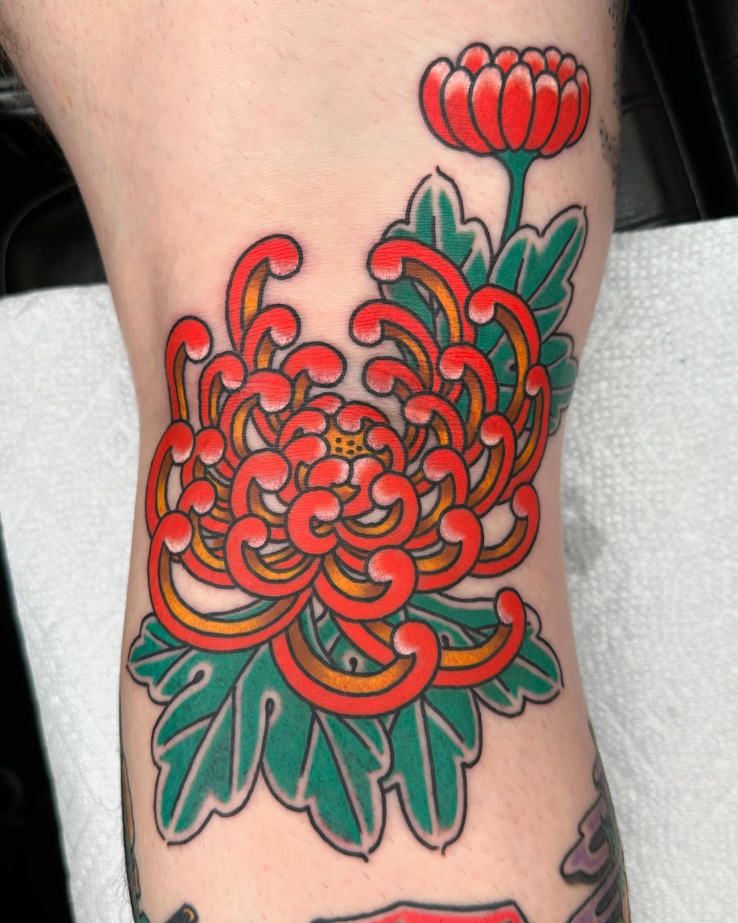 Chrysanthemum American traditional tattoo on the forearm by Jared, Addison, Texas