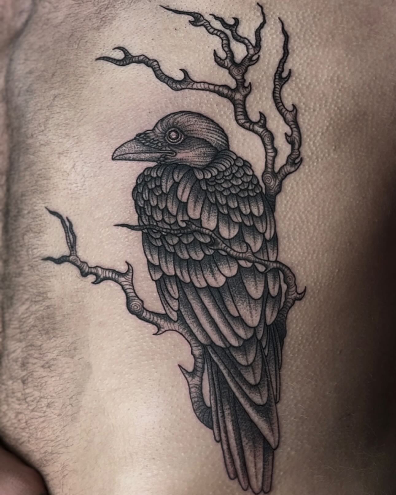 Crow black and grey tattoo on the ribs by Taylor Elizabeth 🕉️