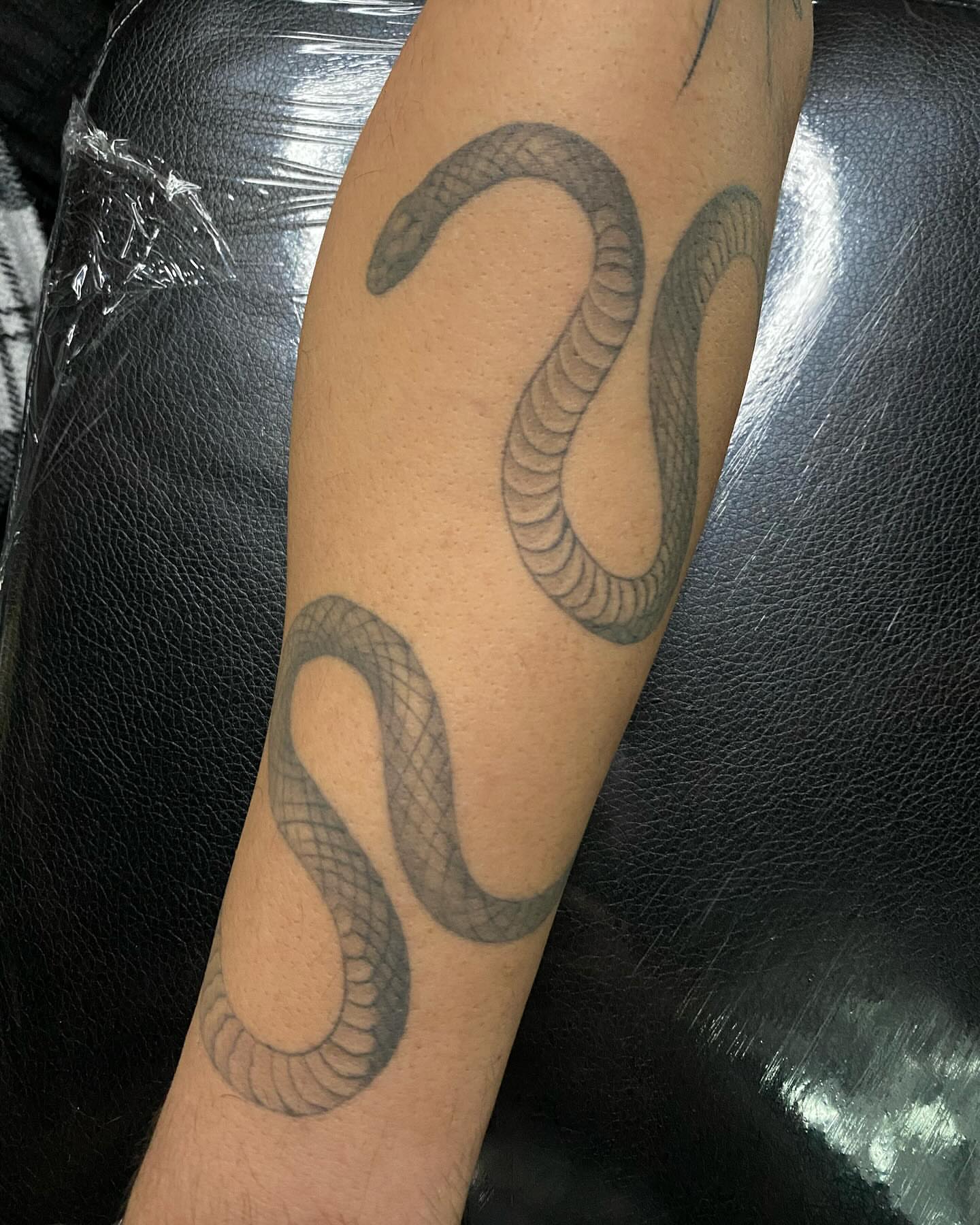 Snake black and grey tattoo on the forearm by 𝔗𝔞𝔶𝔩𝔬𝔯 𝔈𝔩𝔦𝔷𝔞𝔟𝔢𝔱𝔥, Tulsa, Oklahoma