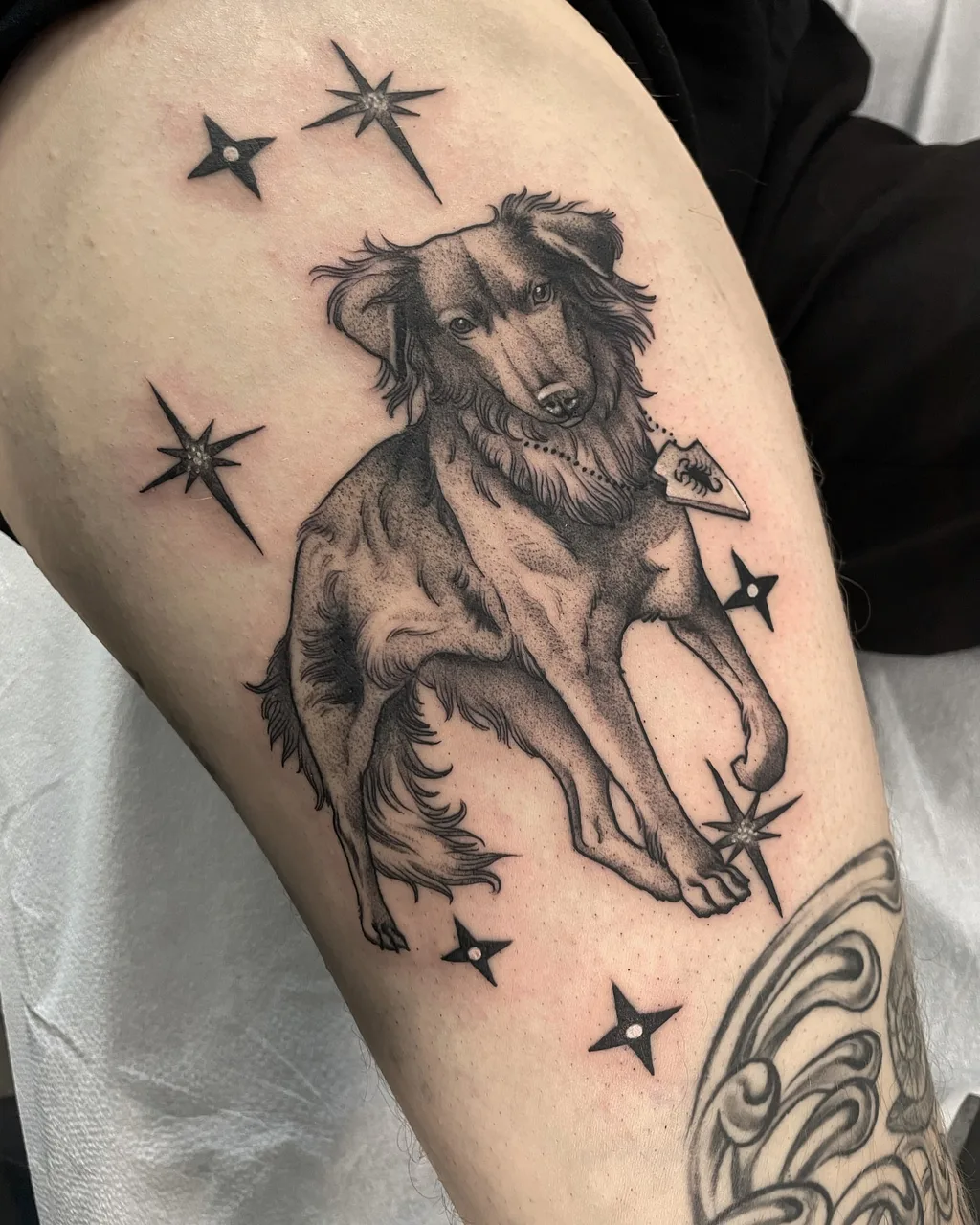 Dog with stars black and grey tattoo on the thigh by Lauren Vandevier