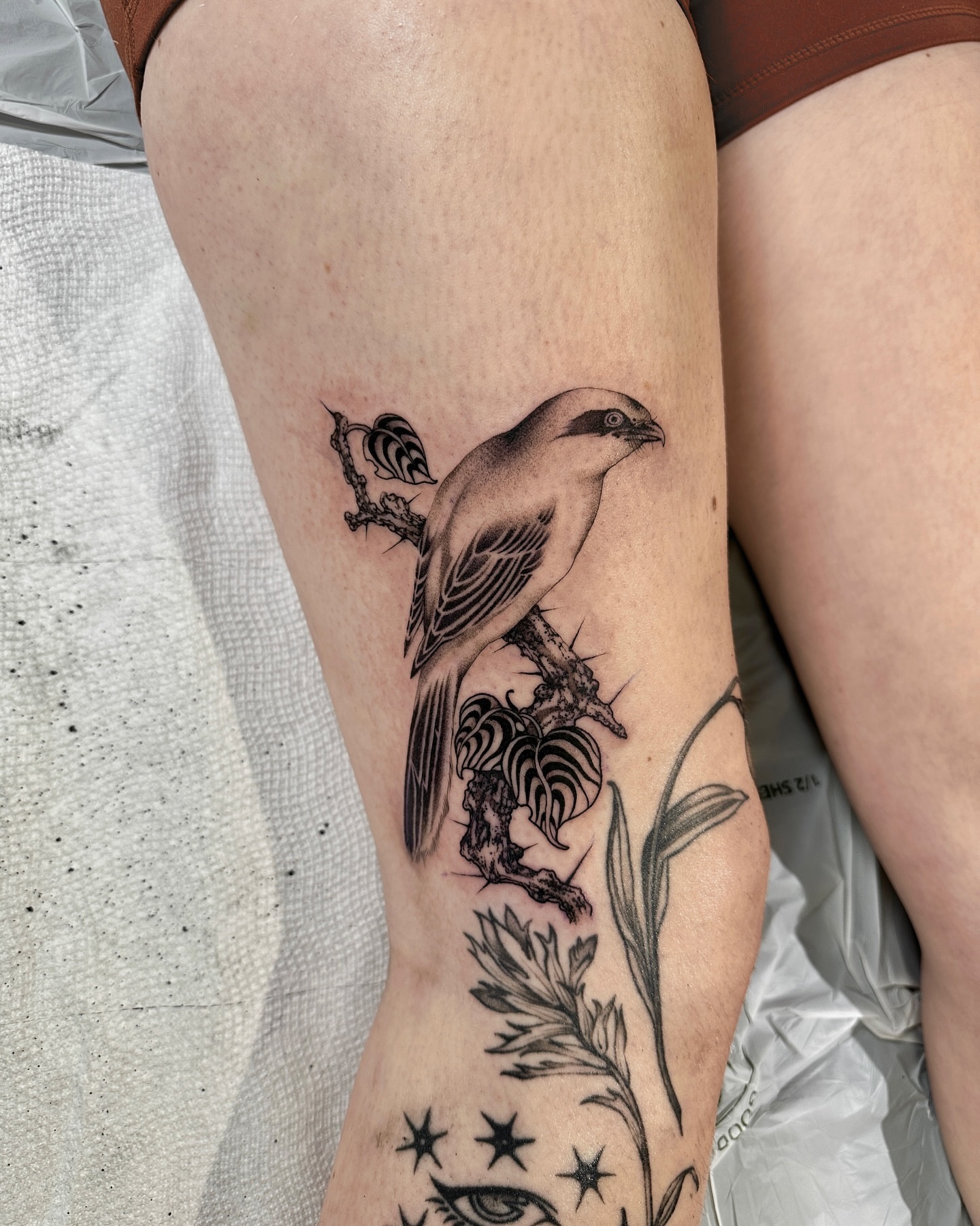 Bird and thorny plant realism tattoo on the thigh by abigail 🌸