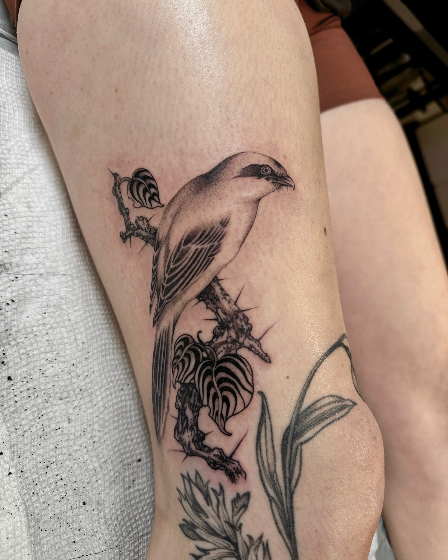 Bird and thorny branch realism tattoo on the forearm by abigail 🌸