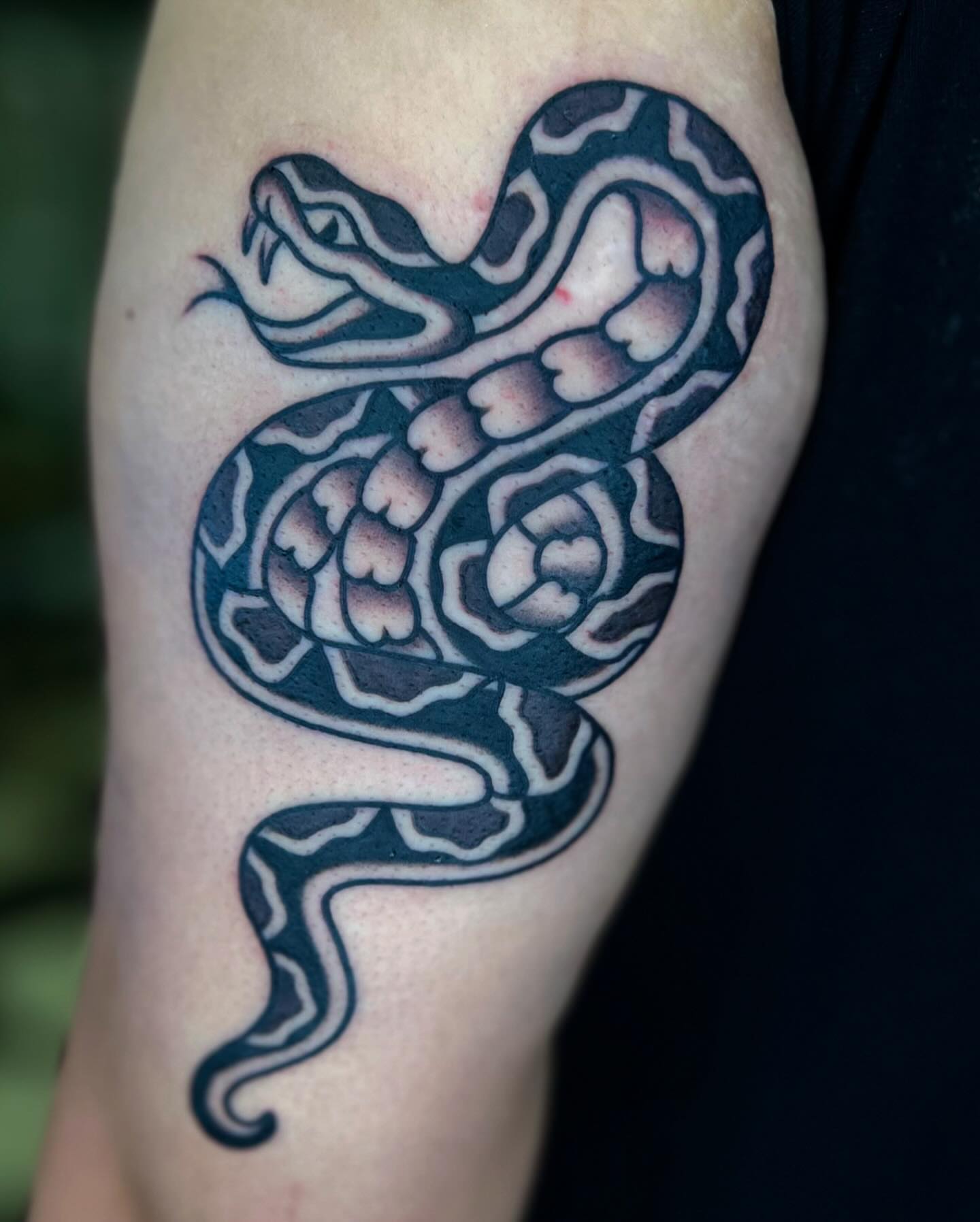 Snake black and grey tattoo on the forearm by Arturo Ledesma