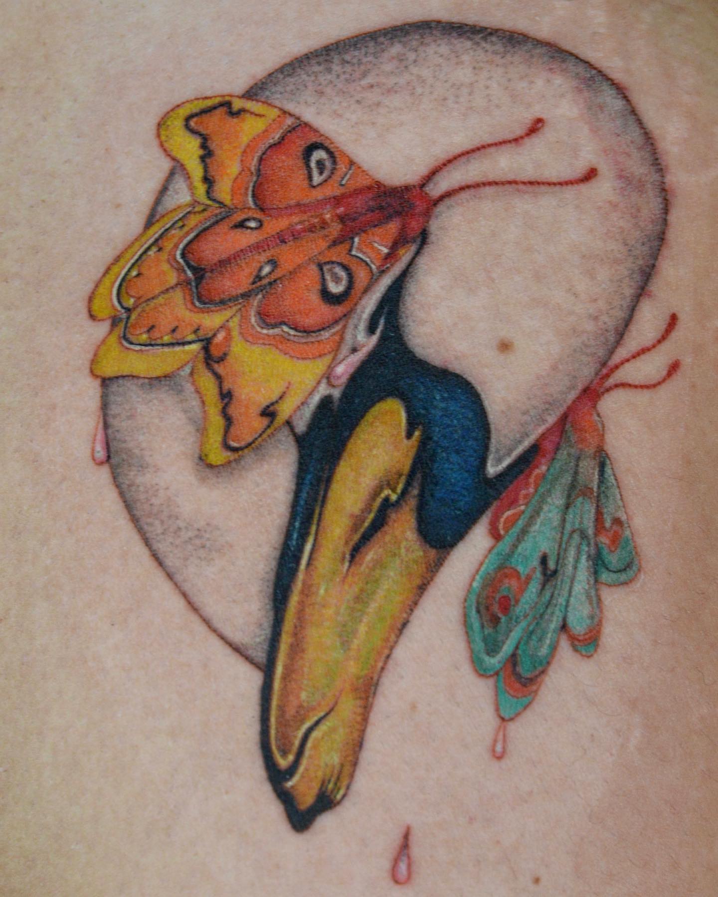 Butterfly American traditional tattoo on the torso by β±βΏβ° π π π° π πΎ β±βΏβ°