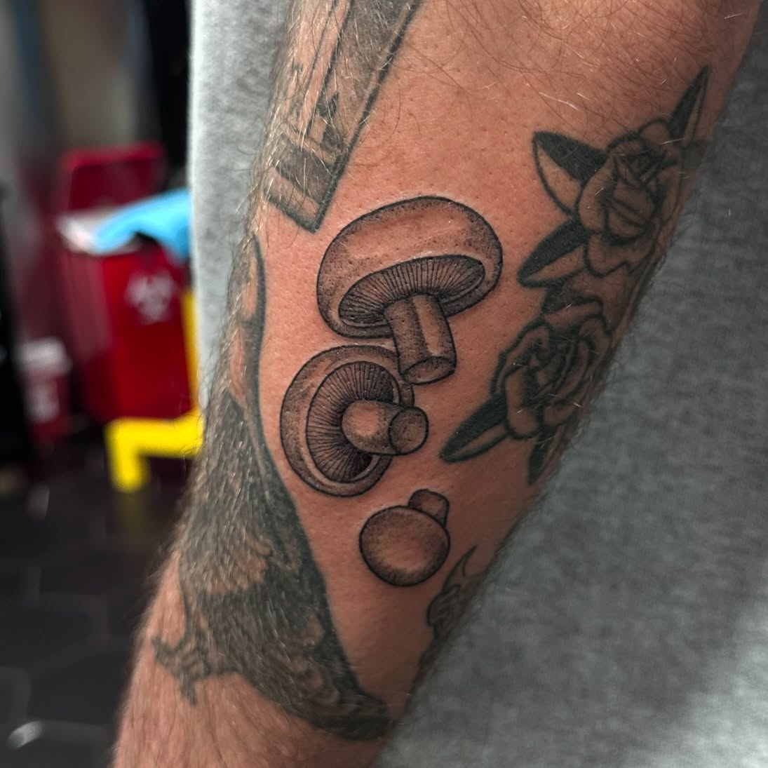 Mushrooms black and grey tattoo on the forearm by Shannon, Cincinnati, Ohio