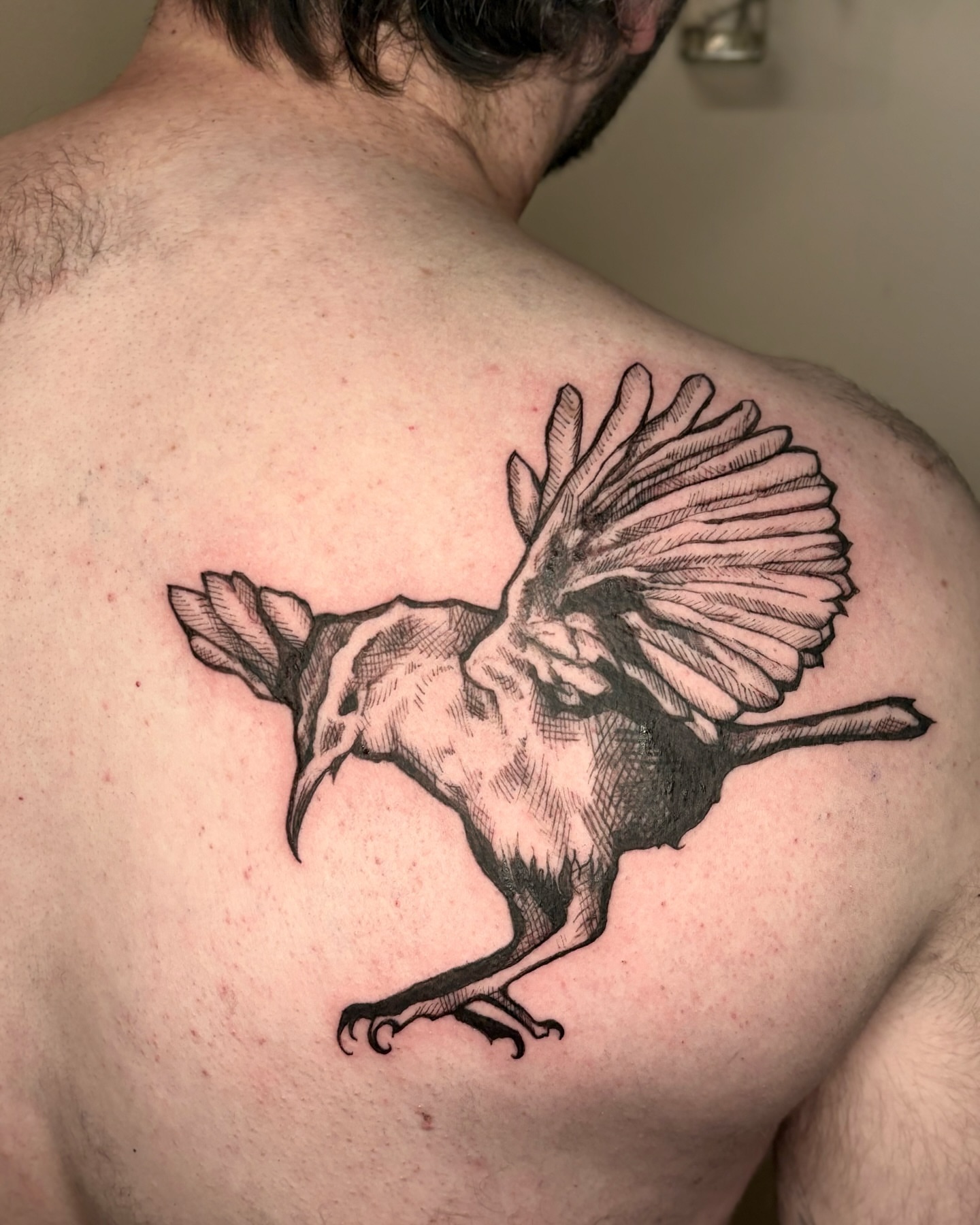 Bird black and grey tattoo on the back by Wren Cavanaugh Tattoos, Seattle, Washington