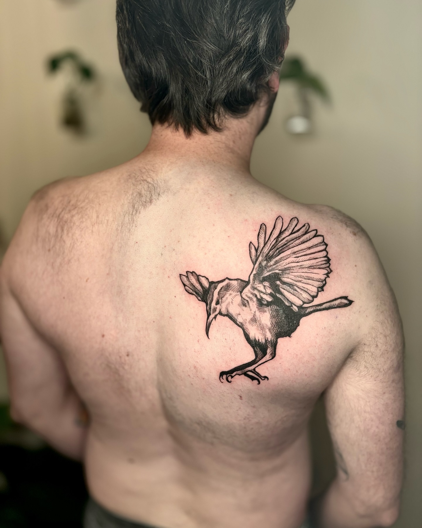 Bird black and grey tattoo on the back by Wren Cavanaugh Tattoos, Seattle, Washington