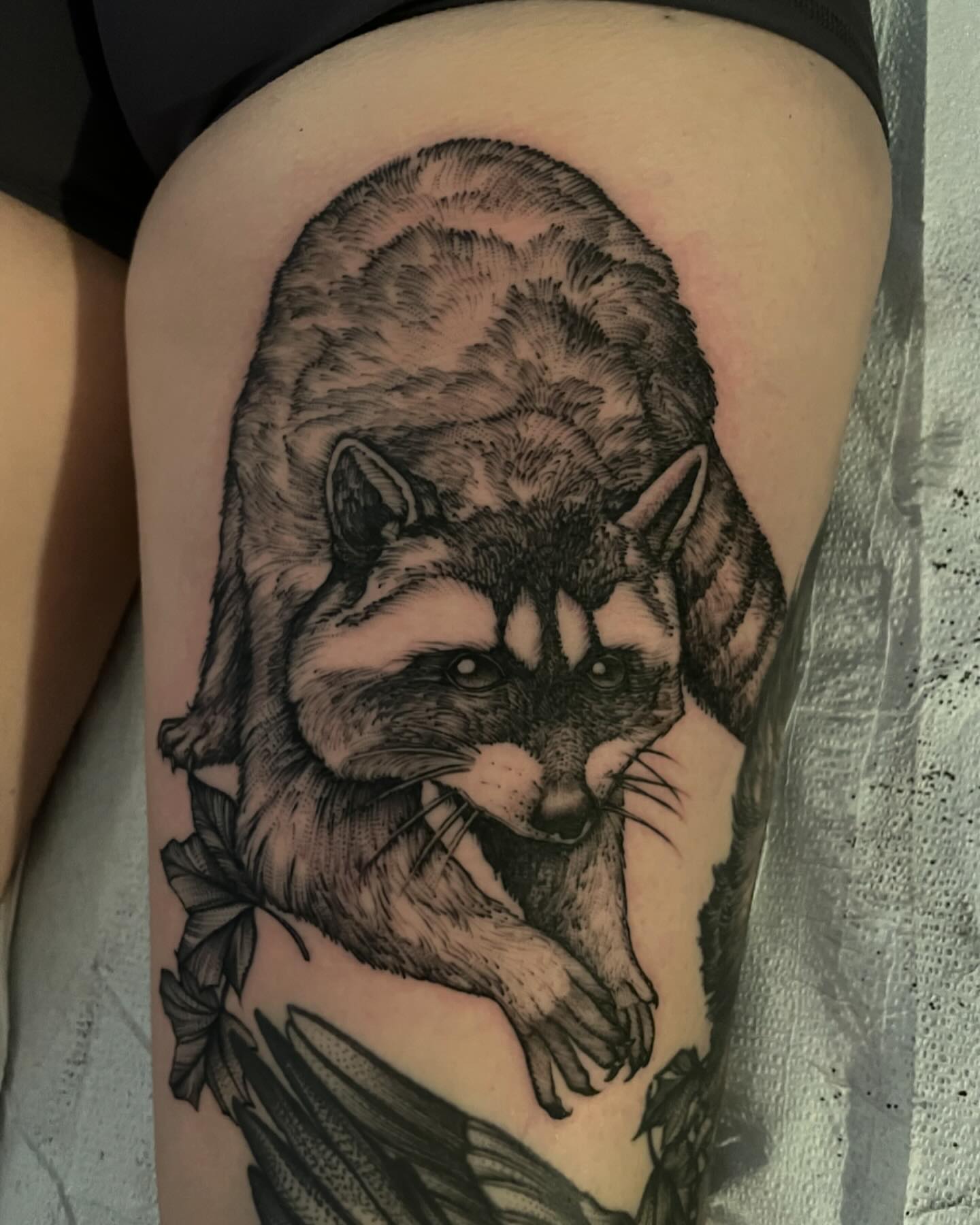Raccoon realism tattoo on the thigh by Jacob Kearney
