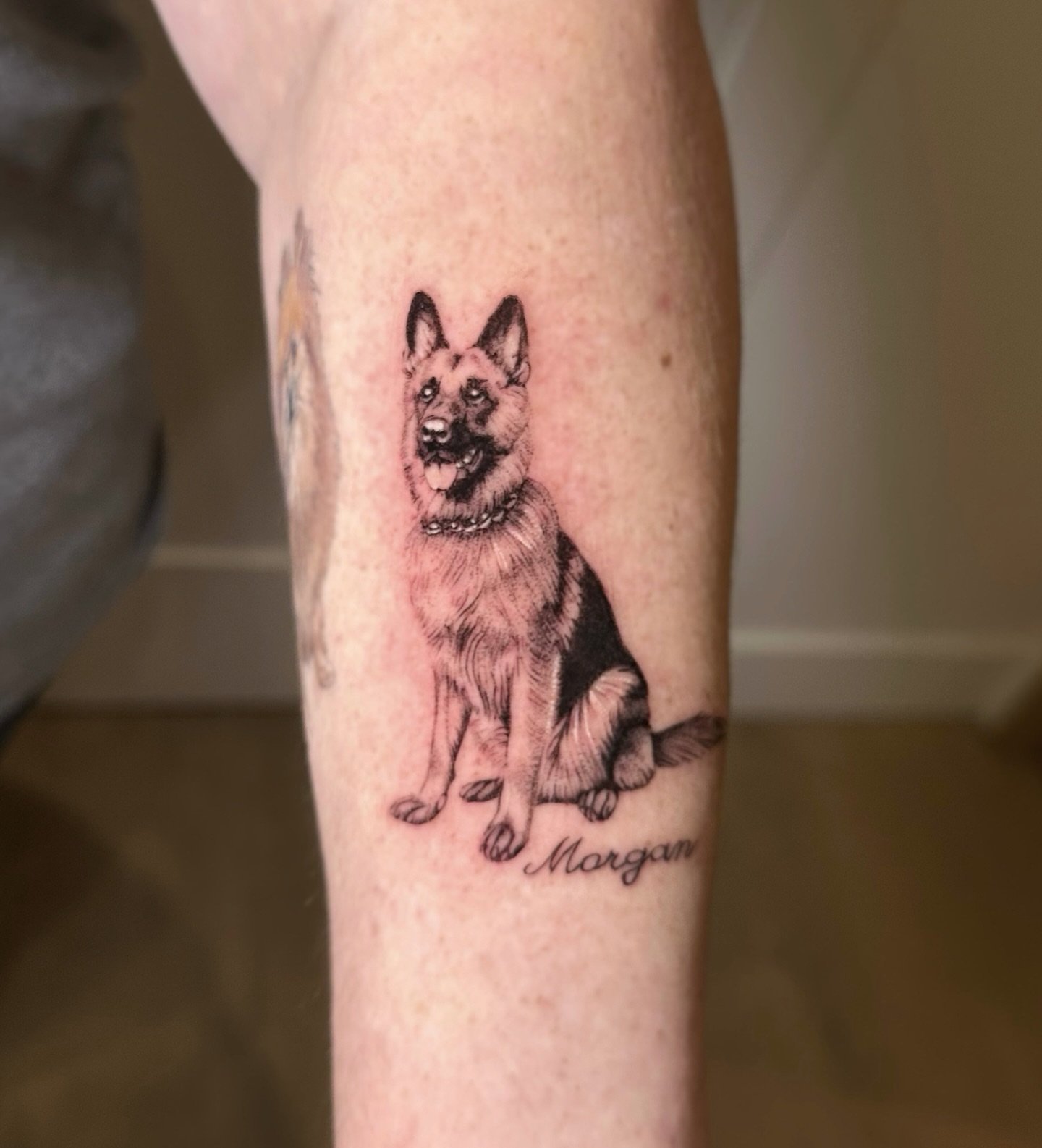 German Shepherd realism tattoo on the forearm by Oxana