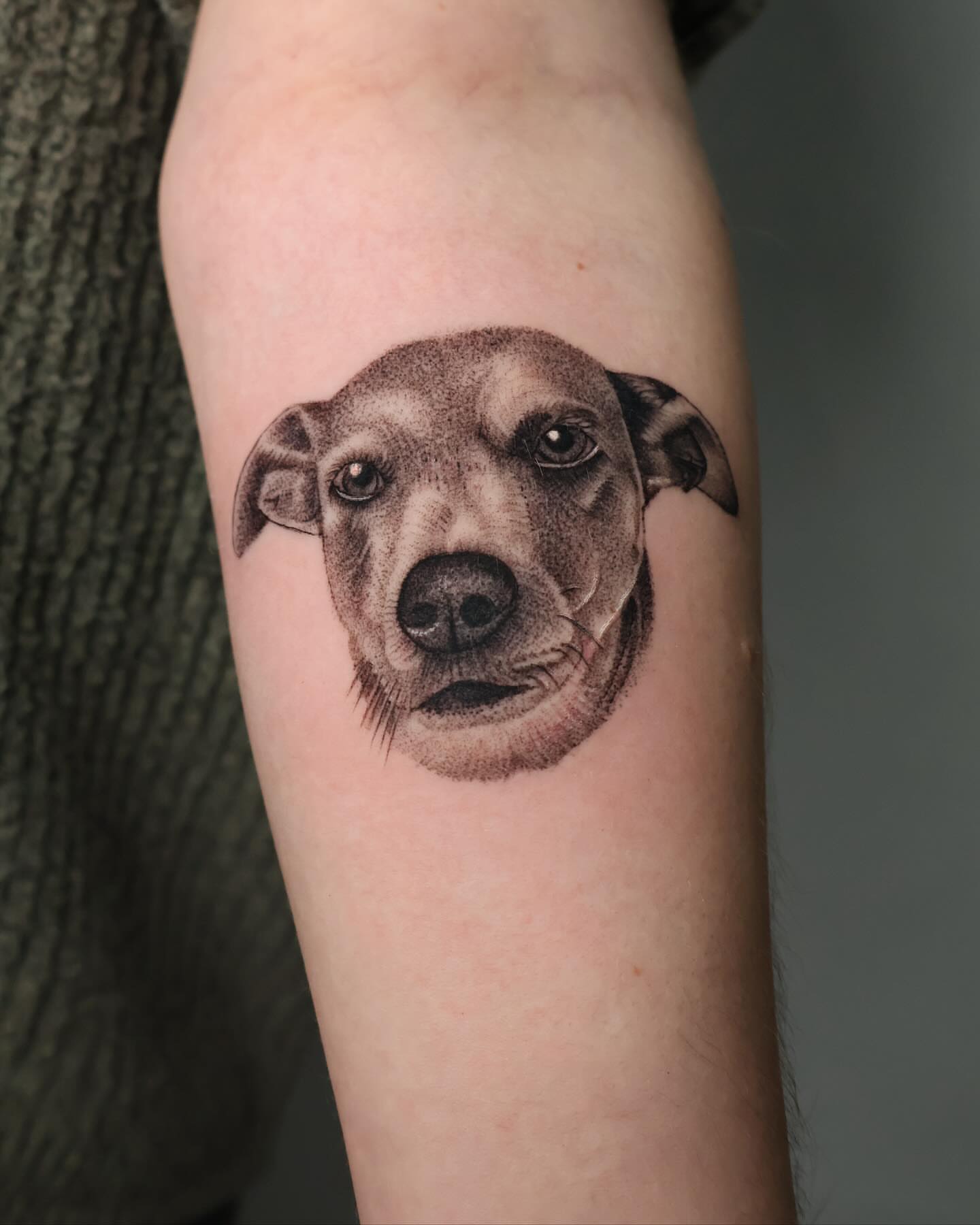 Dog dotwork tattoo on the forearm by Stephanie Pedraza