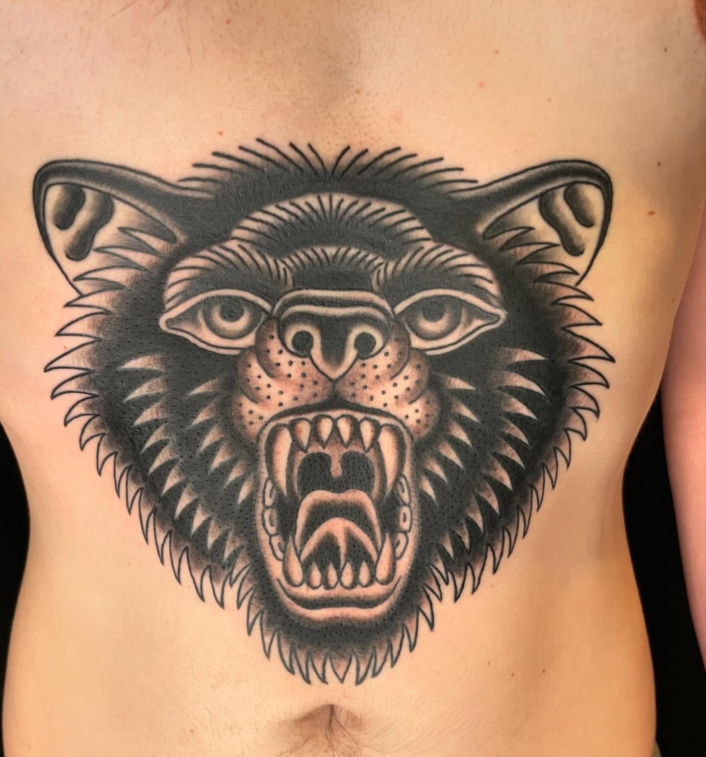 Angry bear American traditional tattoo on the chest by Seth Griffin