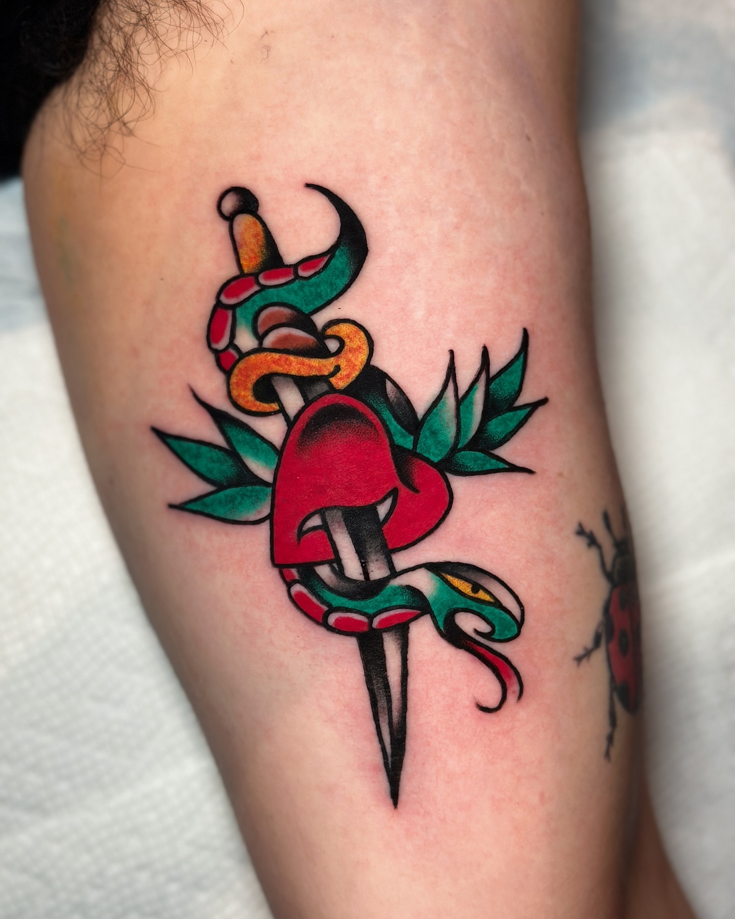 Snake and mushroom American traditional tattoo on the forearm by οΌππ¨ππ¨οΌ, New York, New York