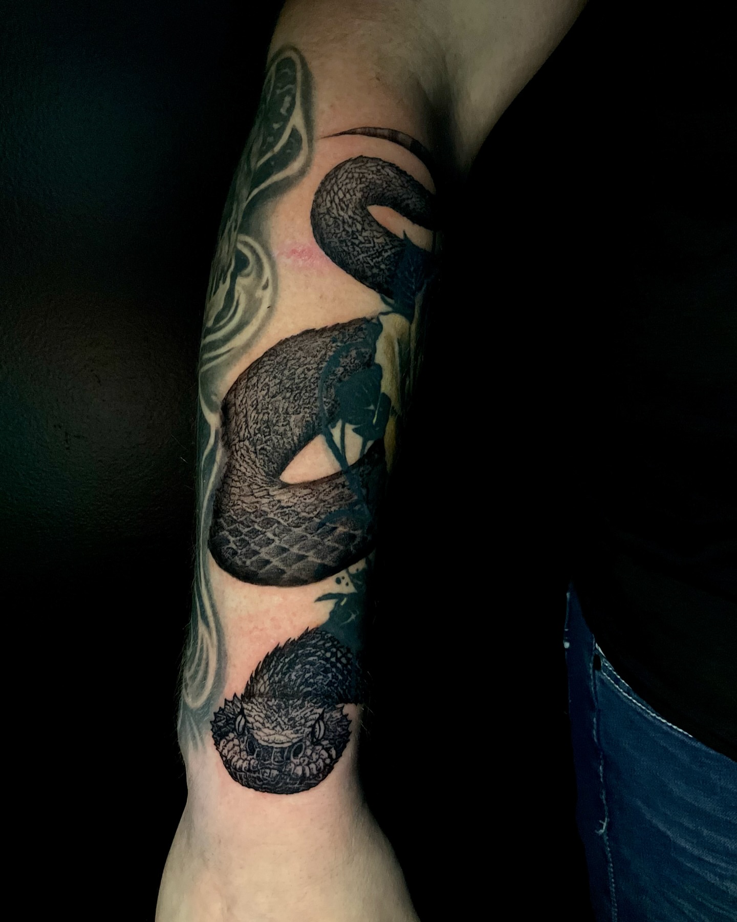 Snake realism tattoo on the forearm by 𝕷𝖚𝖈𝖎𝖉