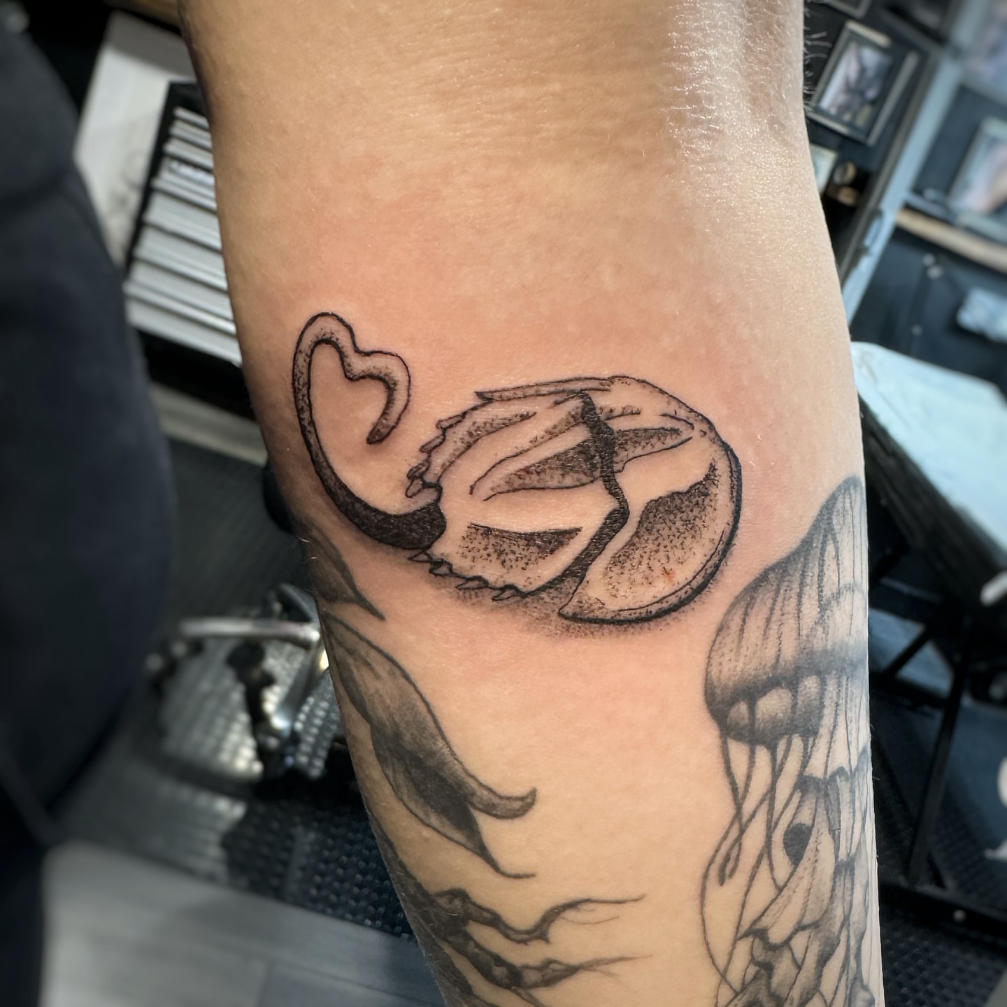 Tattoo by @emmarainetattoo — dotwork, black_and_grey