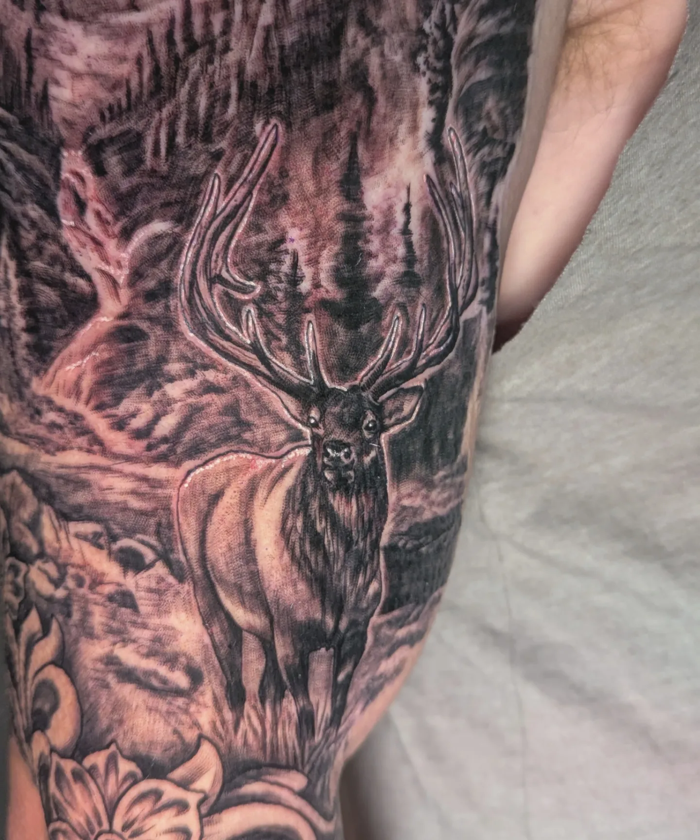 Elk realism tattoo on the forearm by Bethany Jane Tattoos