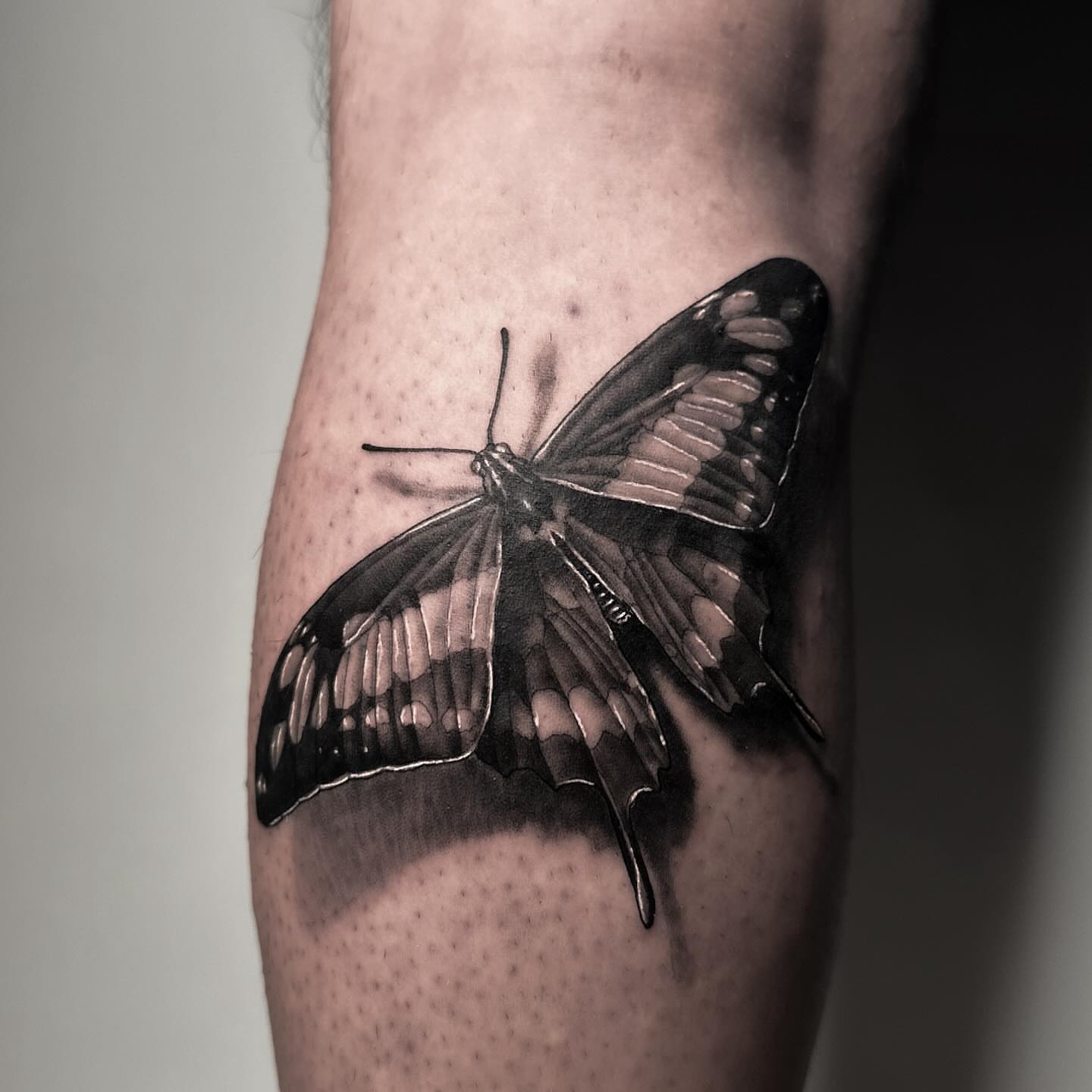 Butterfly realism tattoo on the forearm by Eltche Art Tattoo