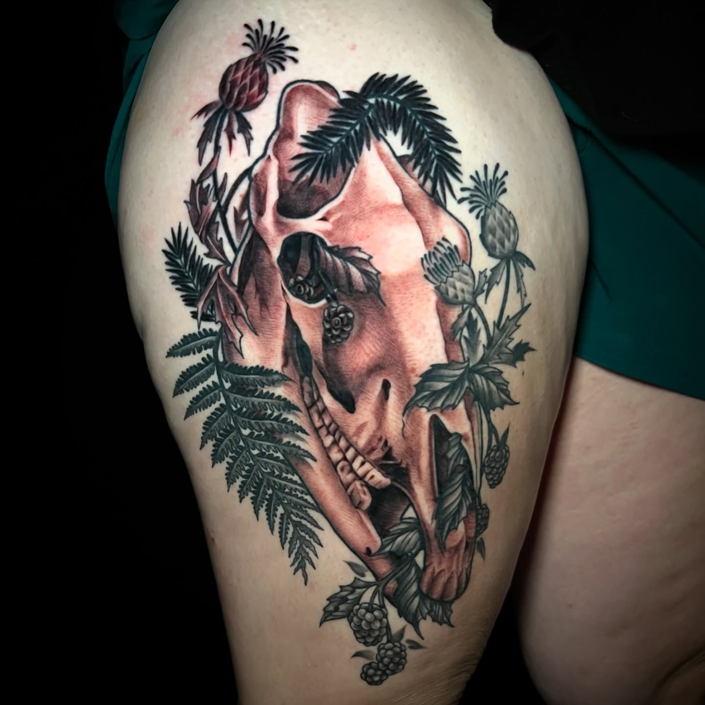Deer skull with flora realism tattoo on the thigh by Blu