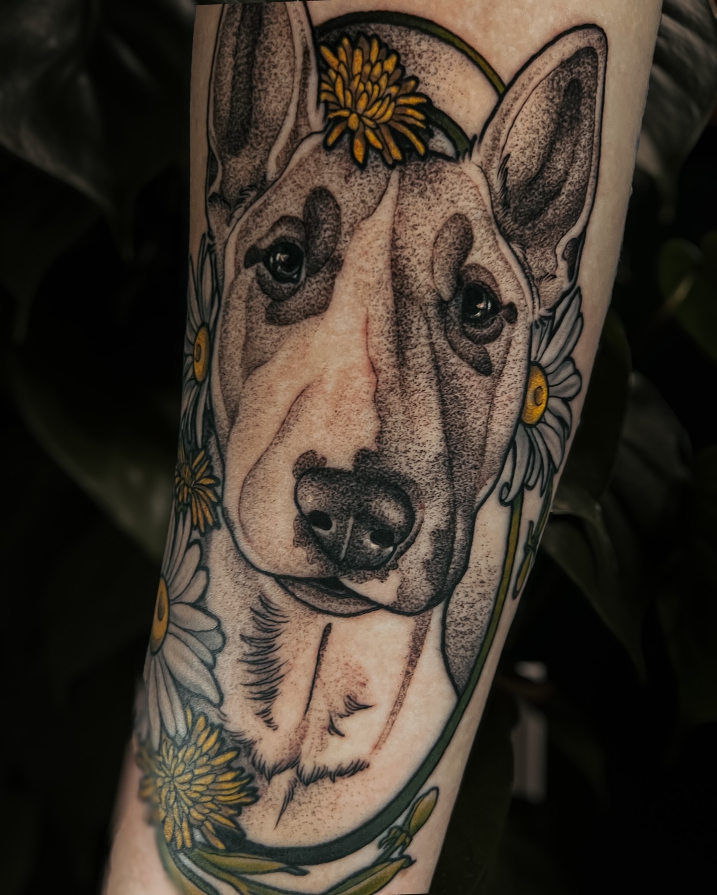 Dog with flowers dotwork tattoo on the forearm by 𝖃𝖆𝖓𝖉𝖗𝖎𝖆 ✦ ᴏʀᴇɢᴏɴ ᴛᴀᴛᴛᴏᴏ ᴀʀᴛɪꜱᴛ