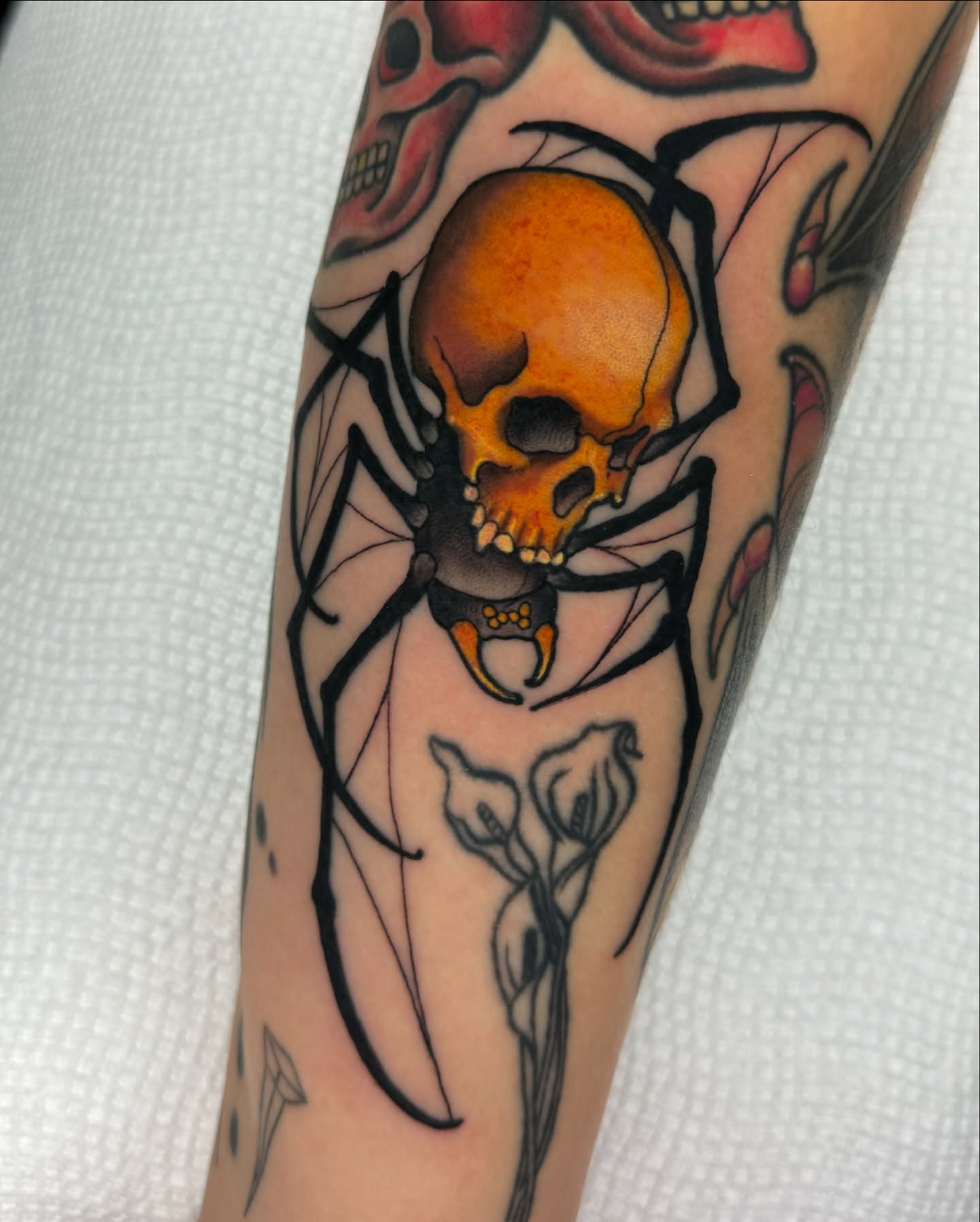 Skull and spider American traditional tattoo on the forearm by Luis Torres, Harrison, New Jersey