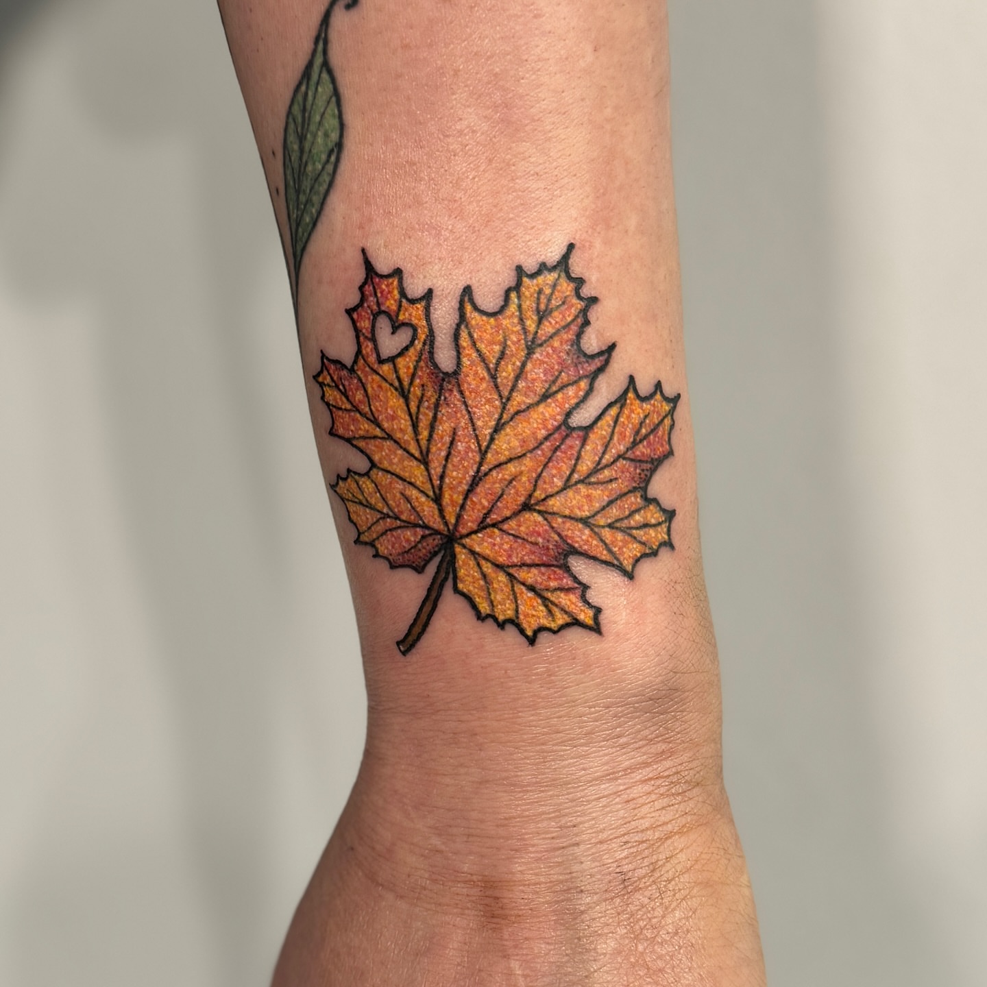 Maple leaf dotwork tattoo on the forearm by Ashley Rose - Minnesota Tattoo Artist