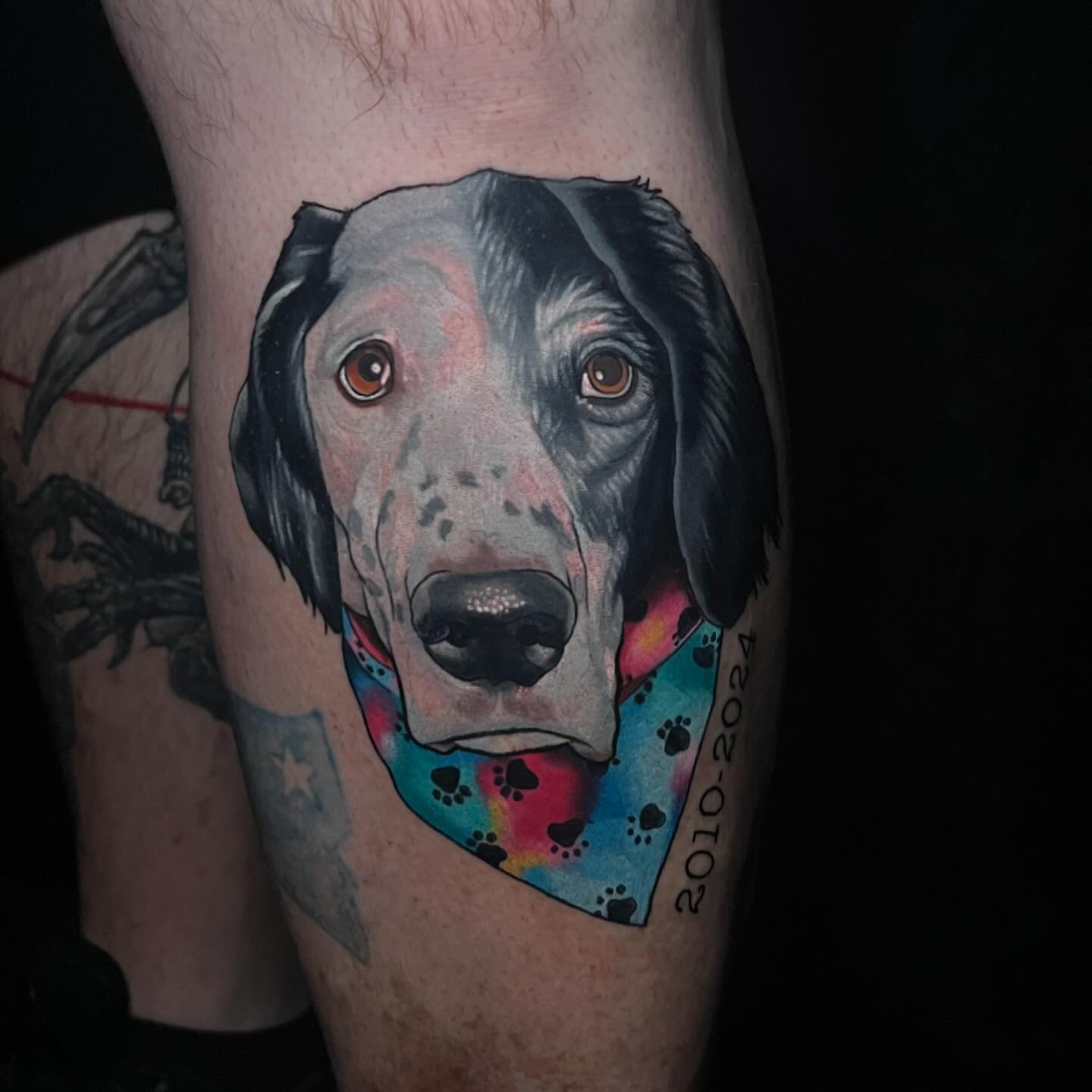 Dog portrait realism tattoo on the forearm by Emily Walker