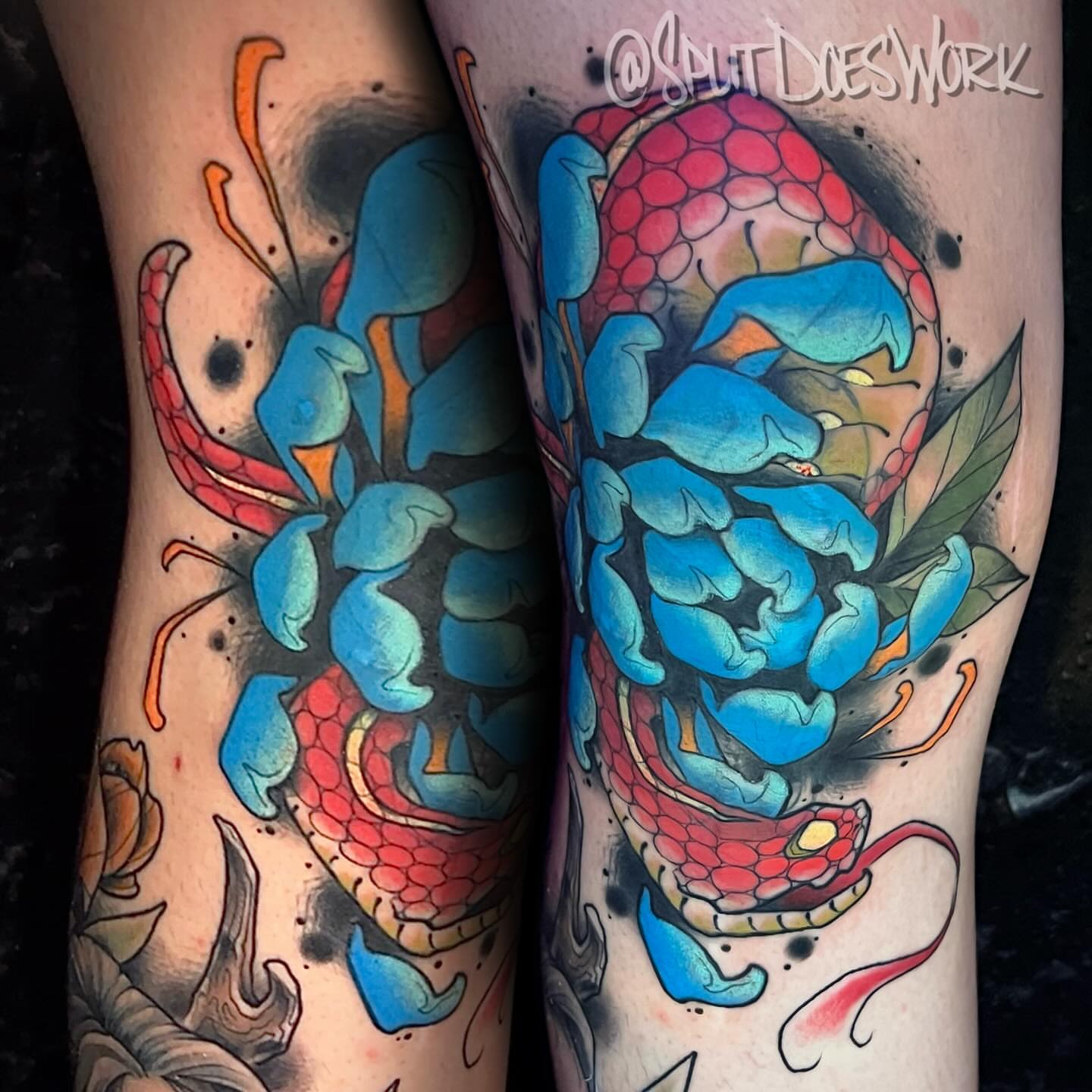 Tattoo by @splitdoeswork — american_traditional, dotwork