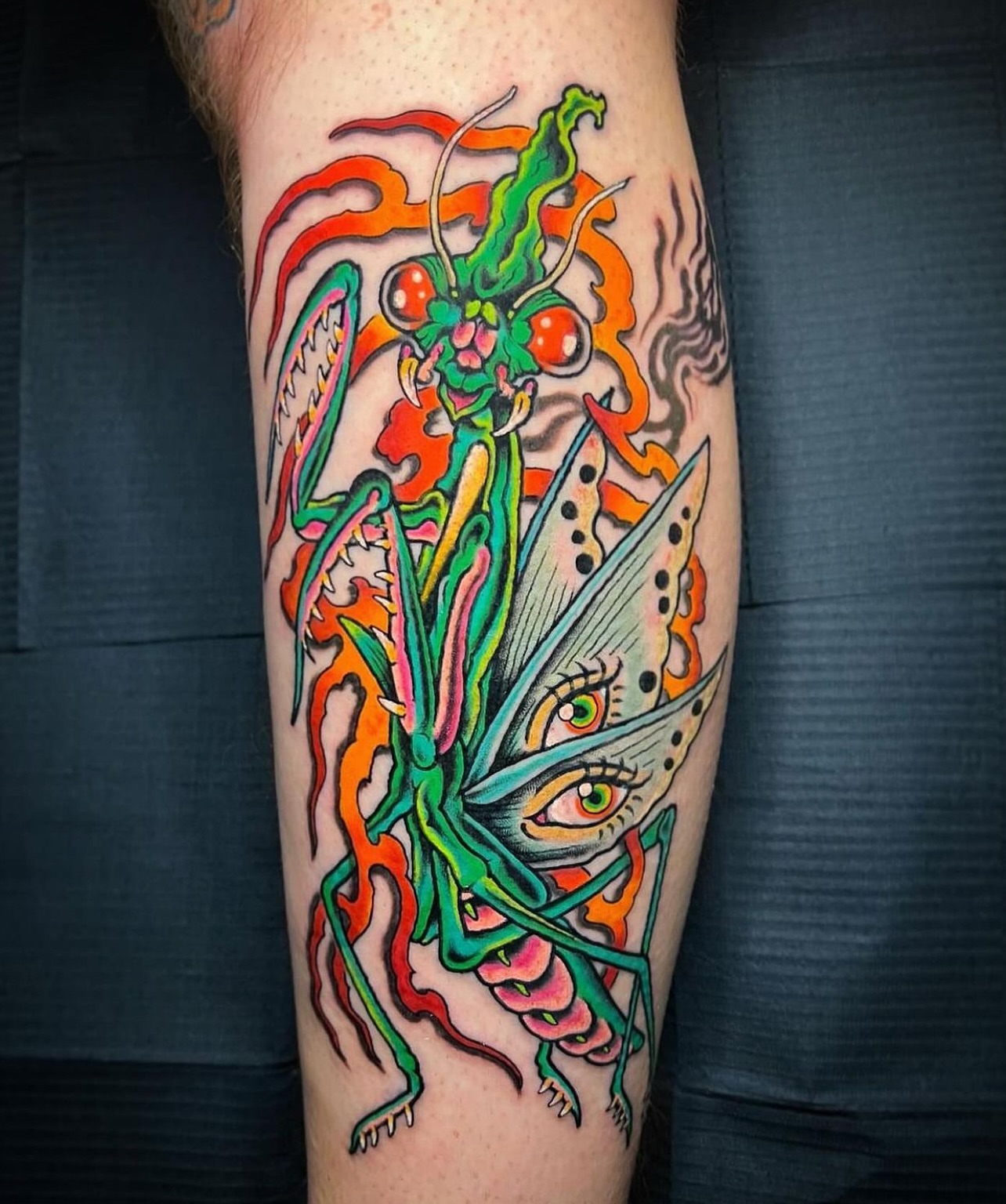 Insect American traditional tattoo on the forearm by Jade Napier