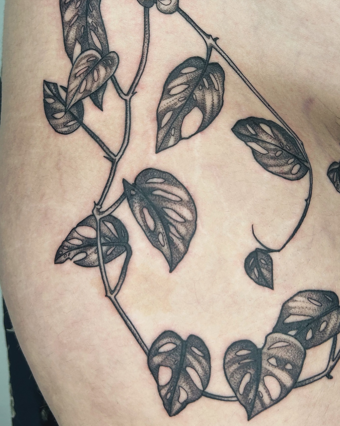 Tattoo by @cicadanymph — dotwork, black_and_grey