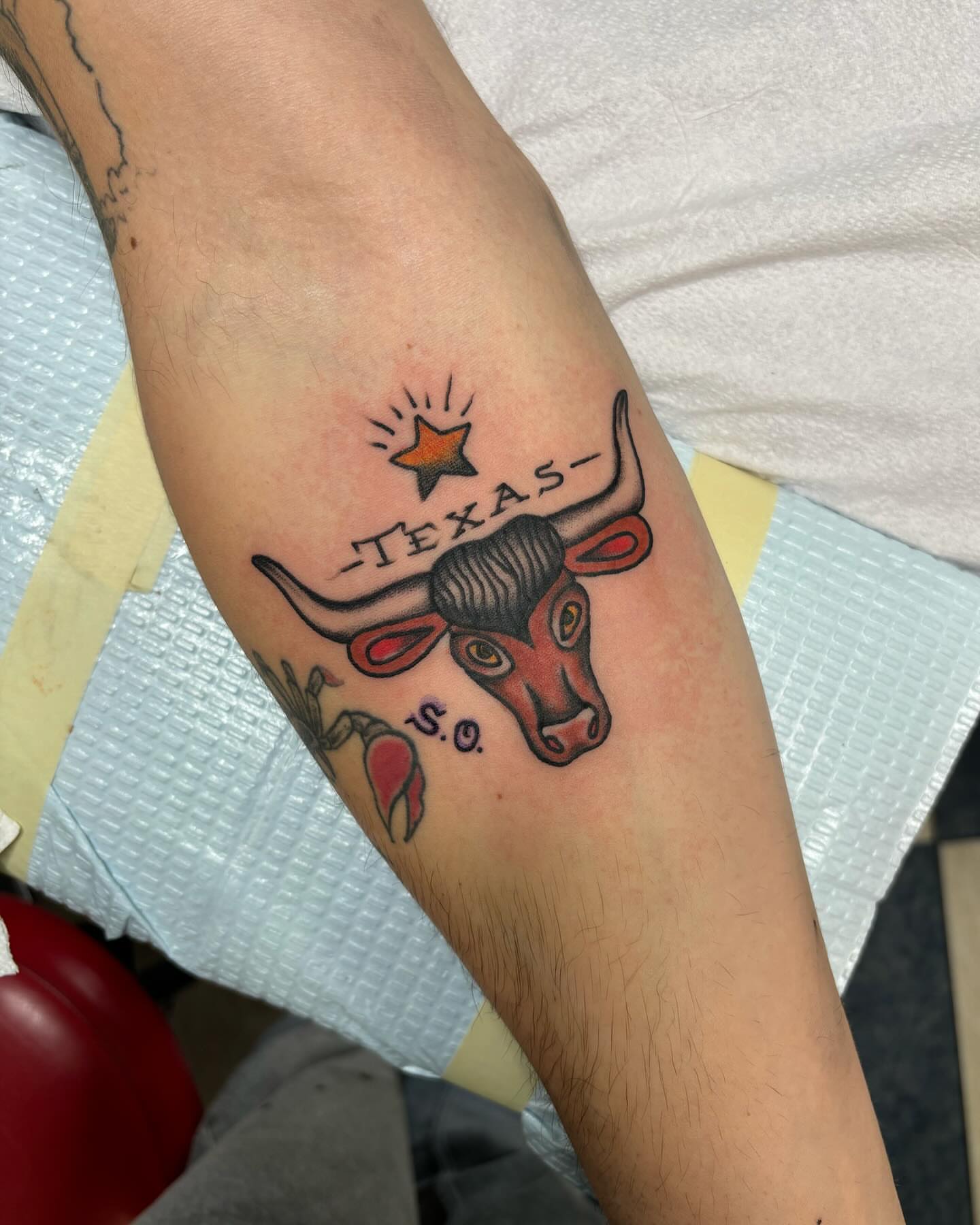 Longhorn bull American traditional tattoo on the forearm by ⟡ Sam O ⟡