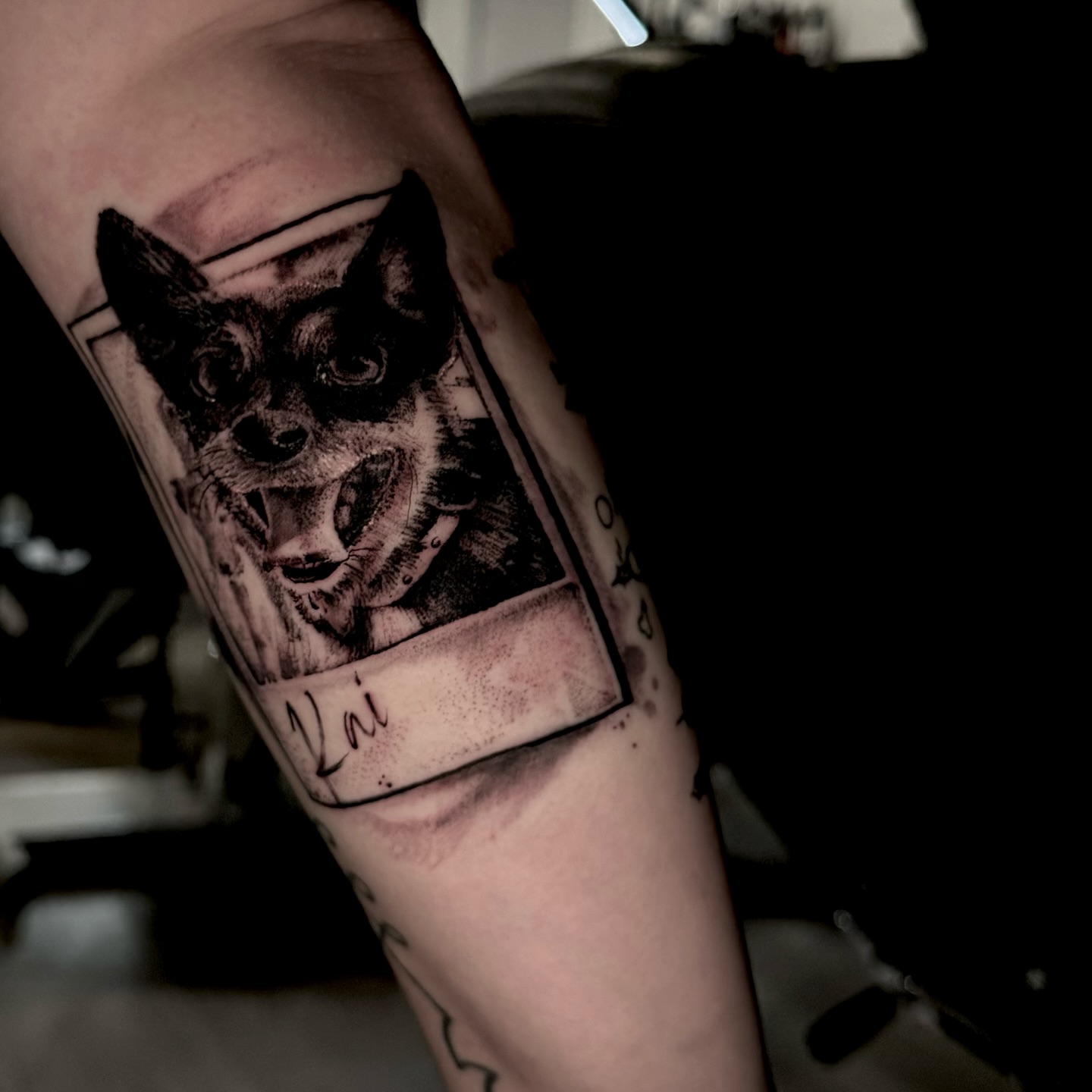 Dog portrait realism tattoo on the forearm by Matthew Clanin