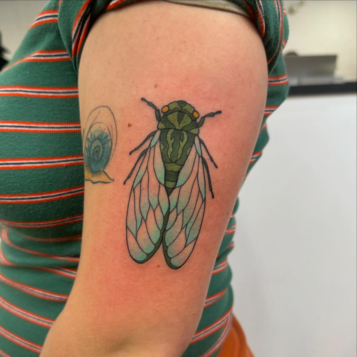 Cicada realism tattoo on the forearm by Makayla Dupre