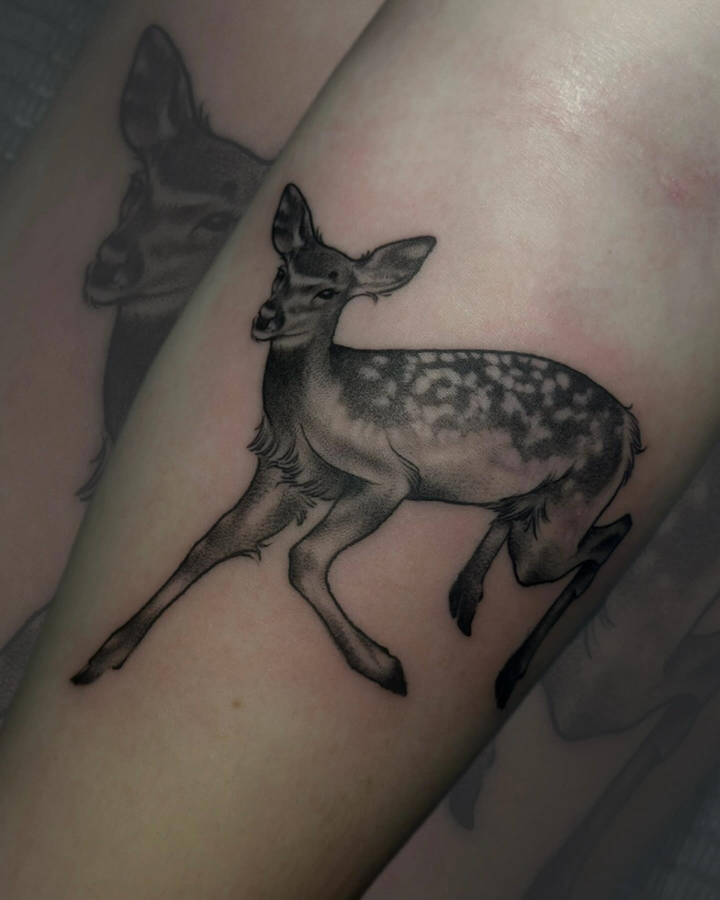 Tattoo by @shriekingpossum — realism