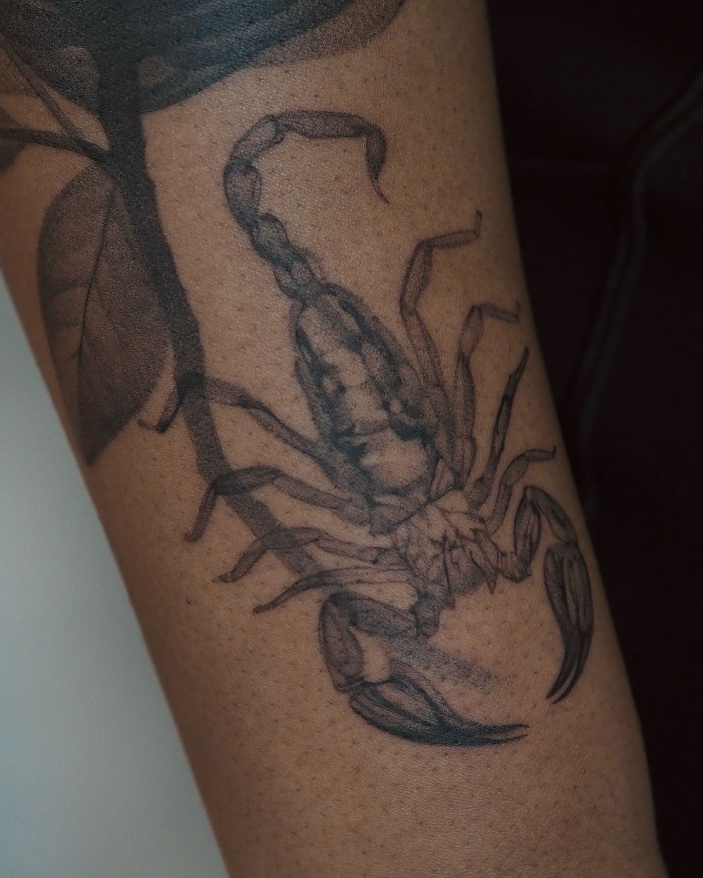 Tattoo by @pakhanova — black_and_grey