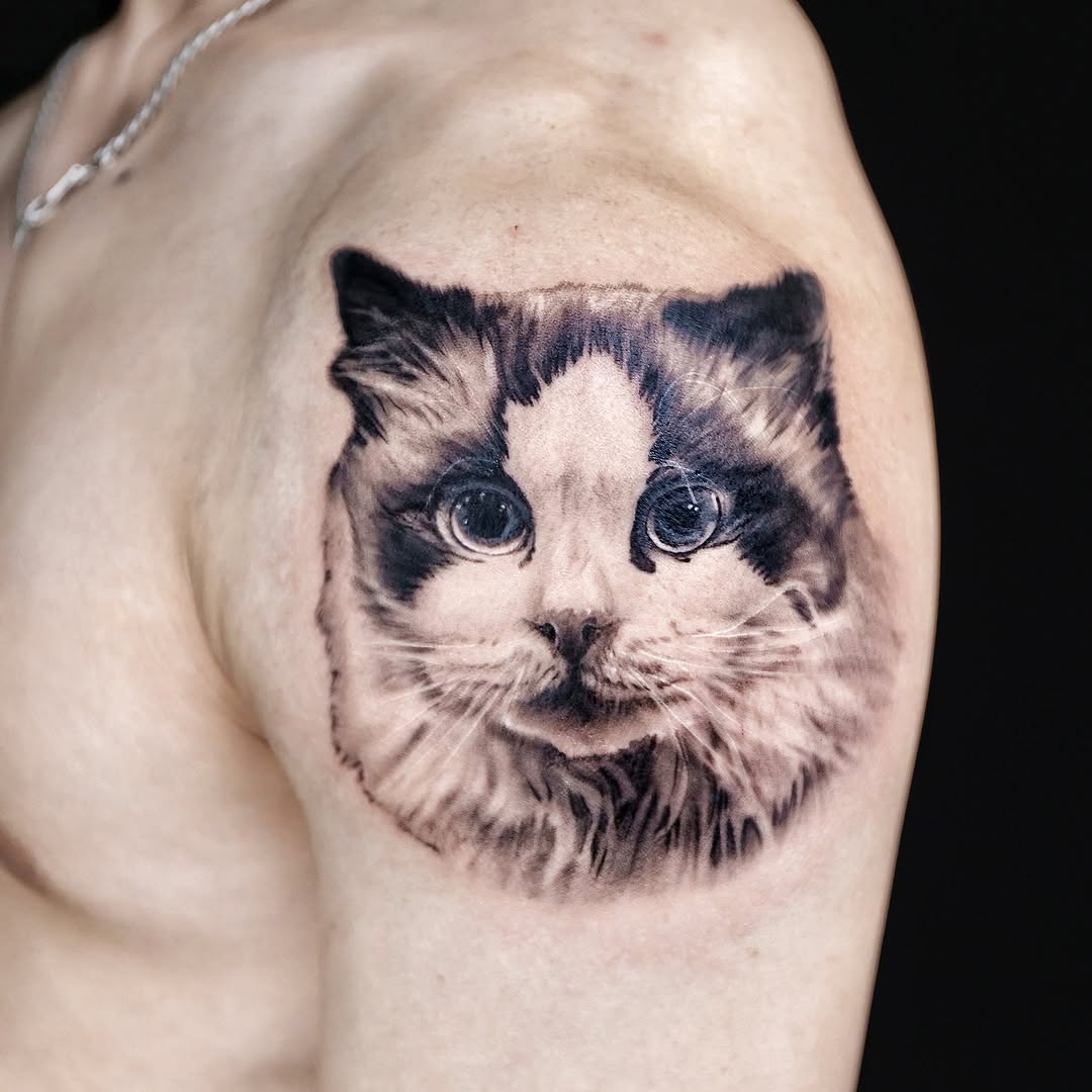 Cat portrait realism tattoo on the shoulder by Adam_Zhiwei Xu(Tattooist)
