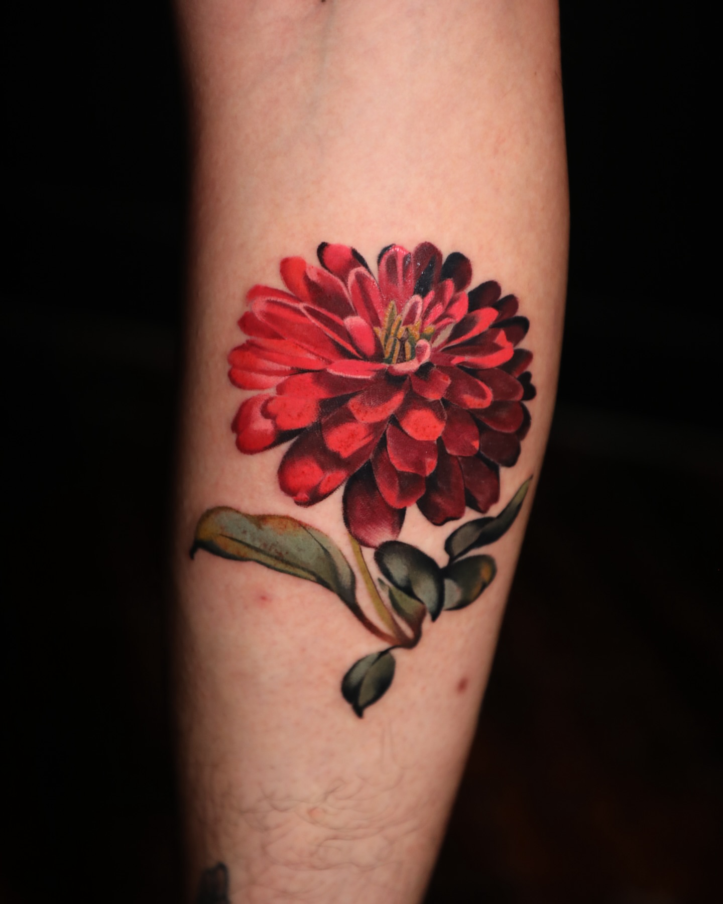Red flower realism tattoo on the forearm by Diego Romay