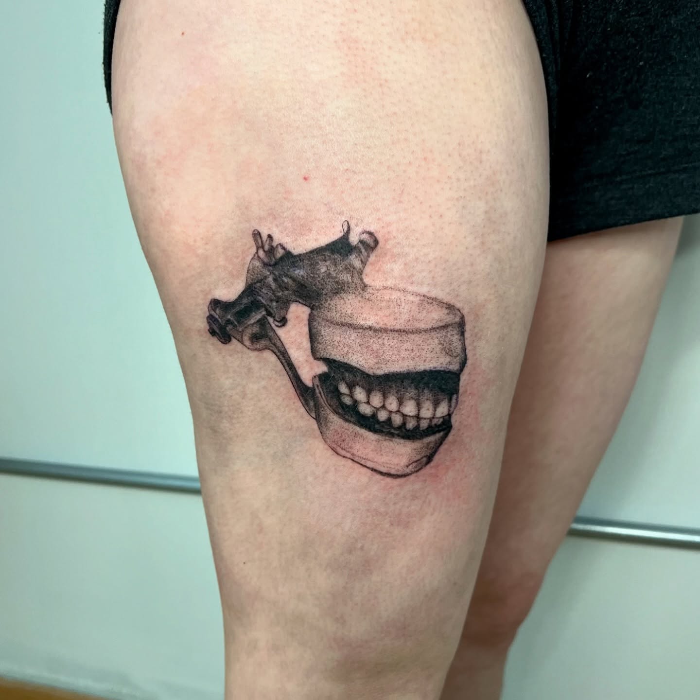 Skull and jawbone dotwork tattoo on the thigh by Maddy Paige
