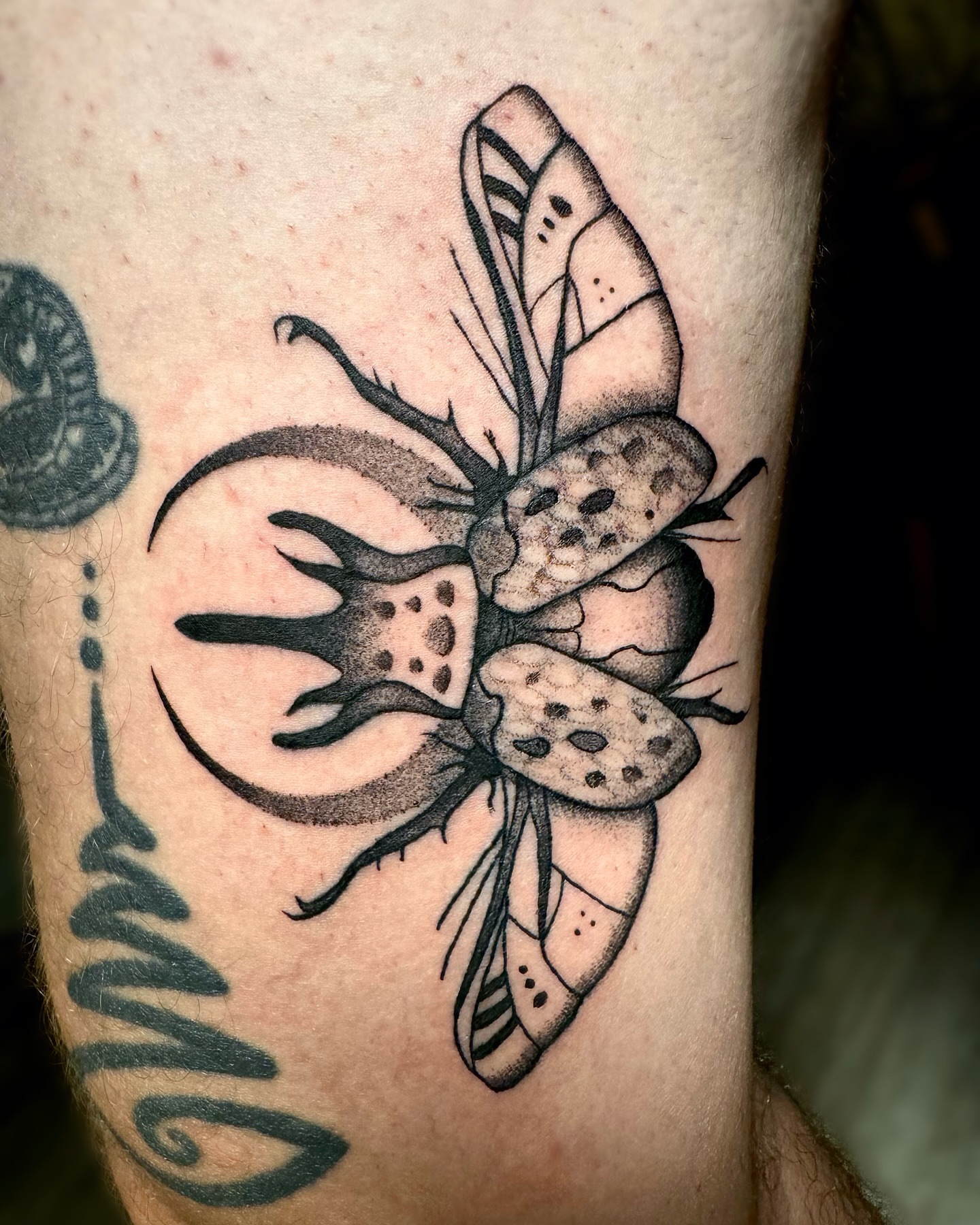 Insect dotwork tattoo on the forearm by Tattoo Artist ⚔️ San Diego, CA