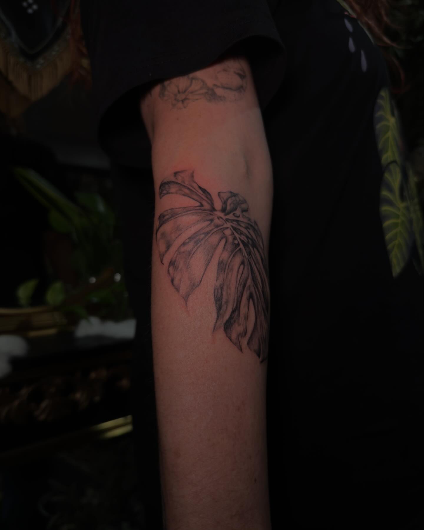 Monstera leaf black and grey tattoo on the forearm by chloe🗡️🖤🦇🩸