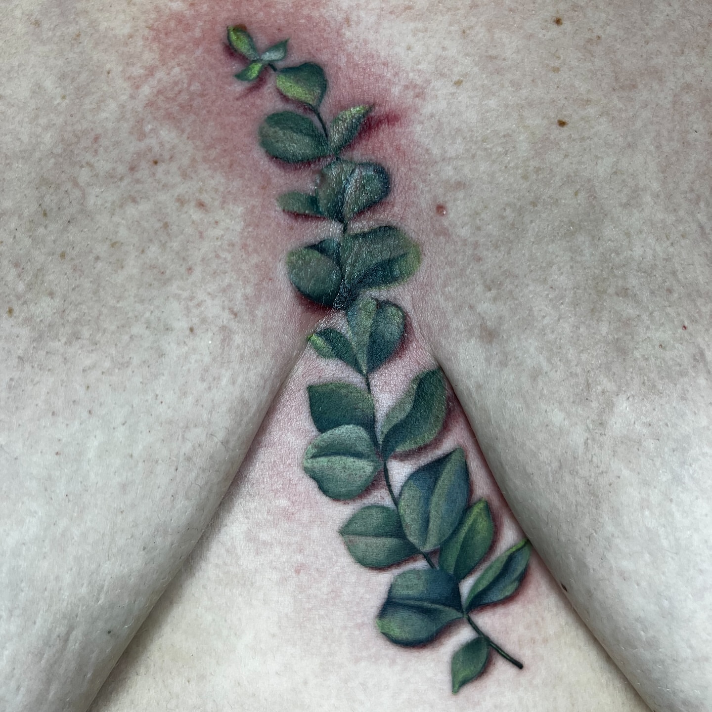 Leafy branch realism tattoo on the thigh by Blu