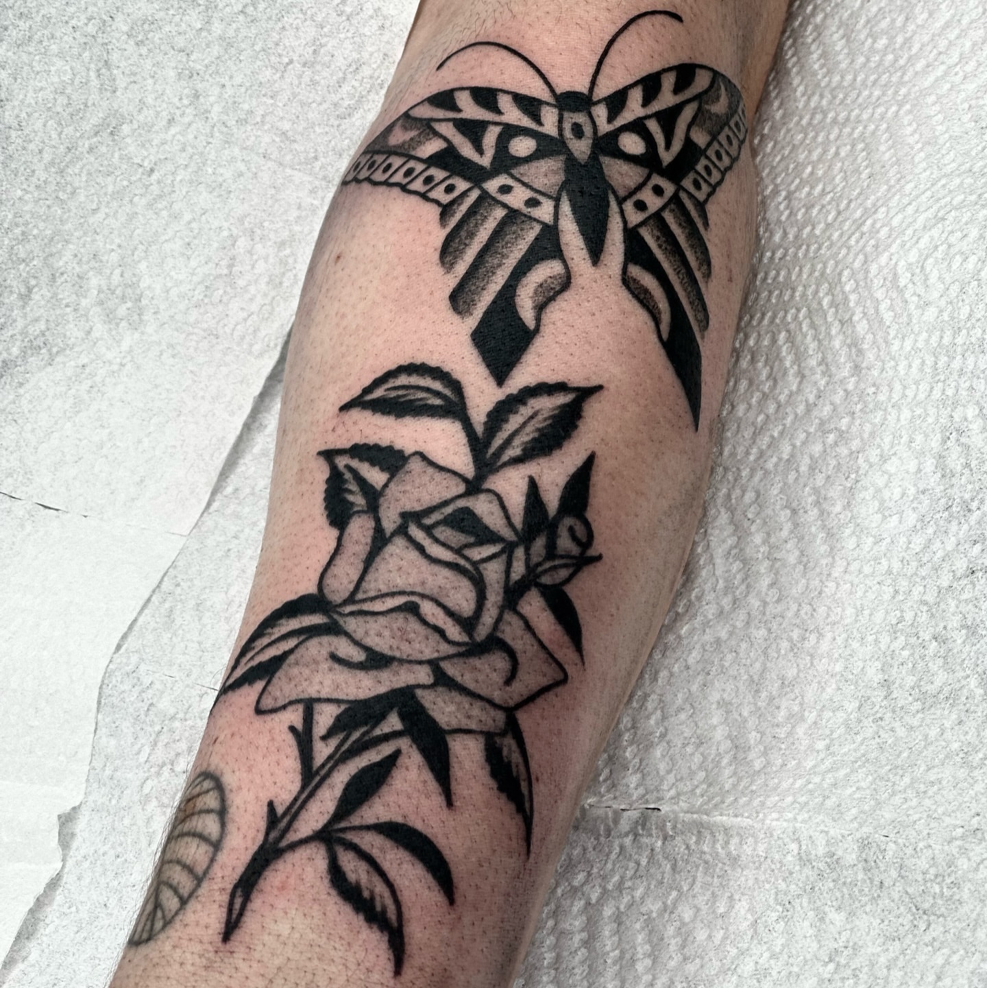Rose and moth American traditional tattoo on the forearm by Maks