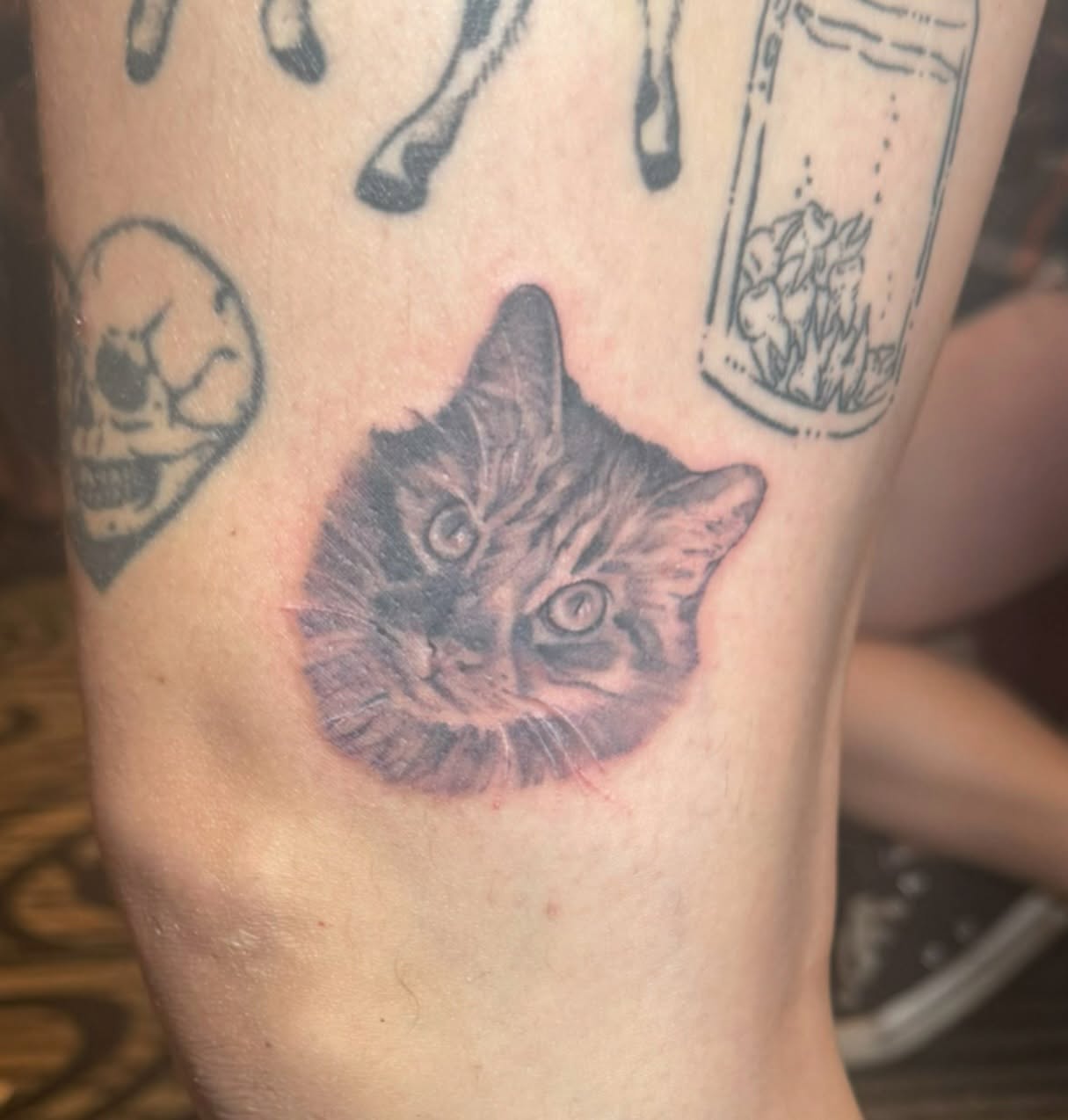 Cat realism tattoo on the forearm by Steph ❤️‍🔥 New Jersey Tattoo Artist