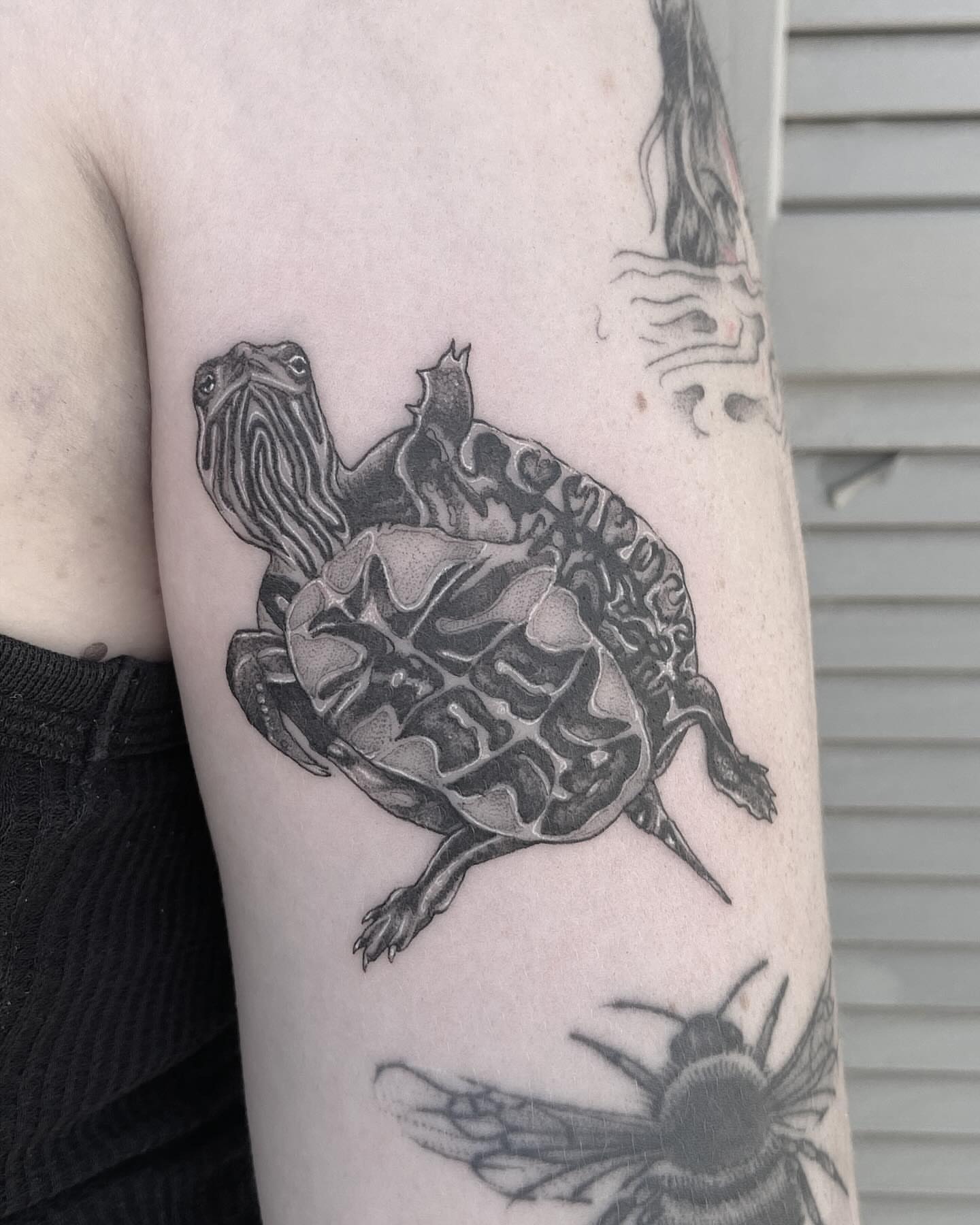 Turtle black and grey tattoo on the forearm by Libbey June @ Snailberry Studios- NW OHIO